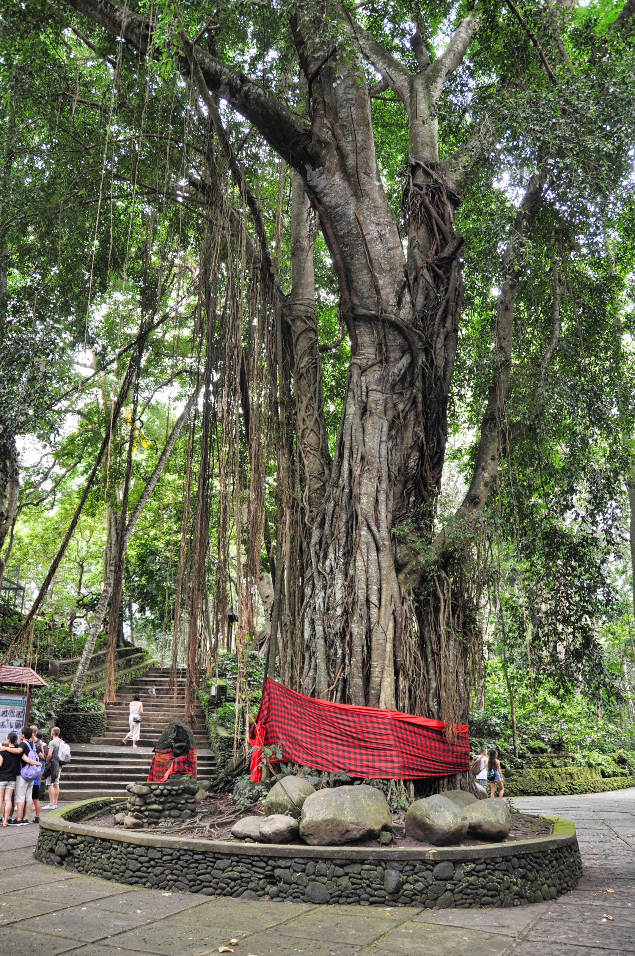 Two Travel The World - La forêt des singes à Ubud, Bali
