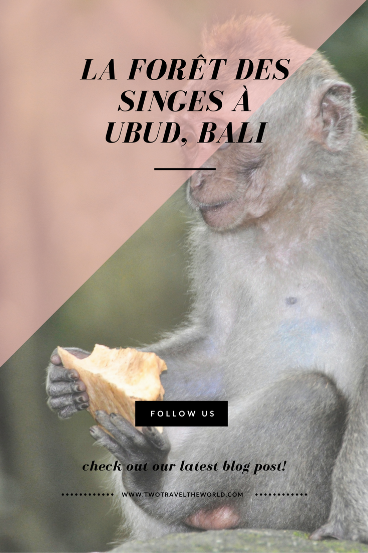Two Travel The World - La forêt des singes à Ubud, Bali