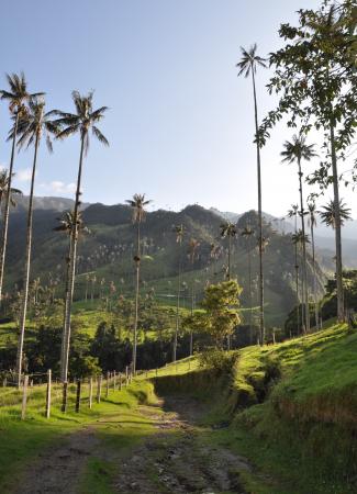 Two Travel The World - Valle de Cocora (Cocora Valley)