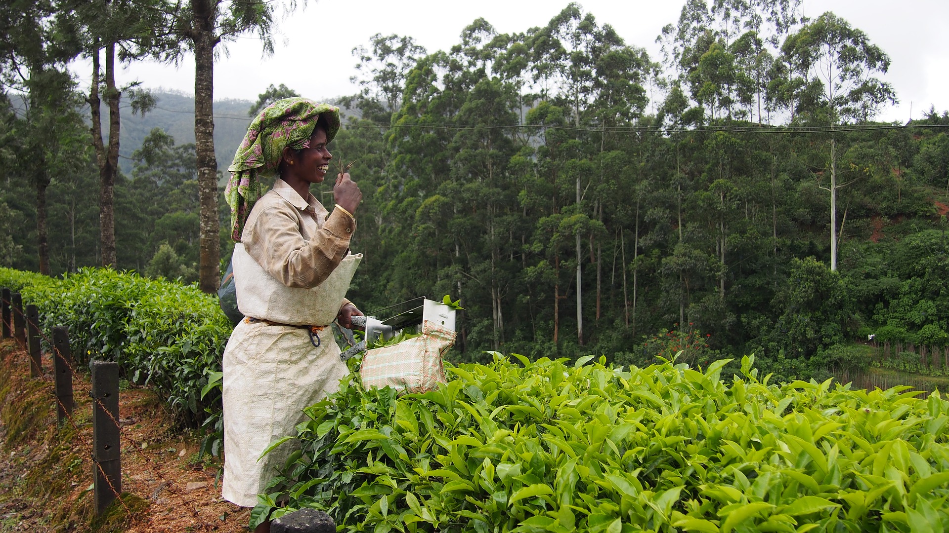 TwoTravelTheWorld-Munnar