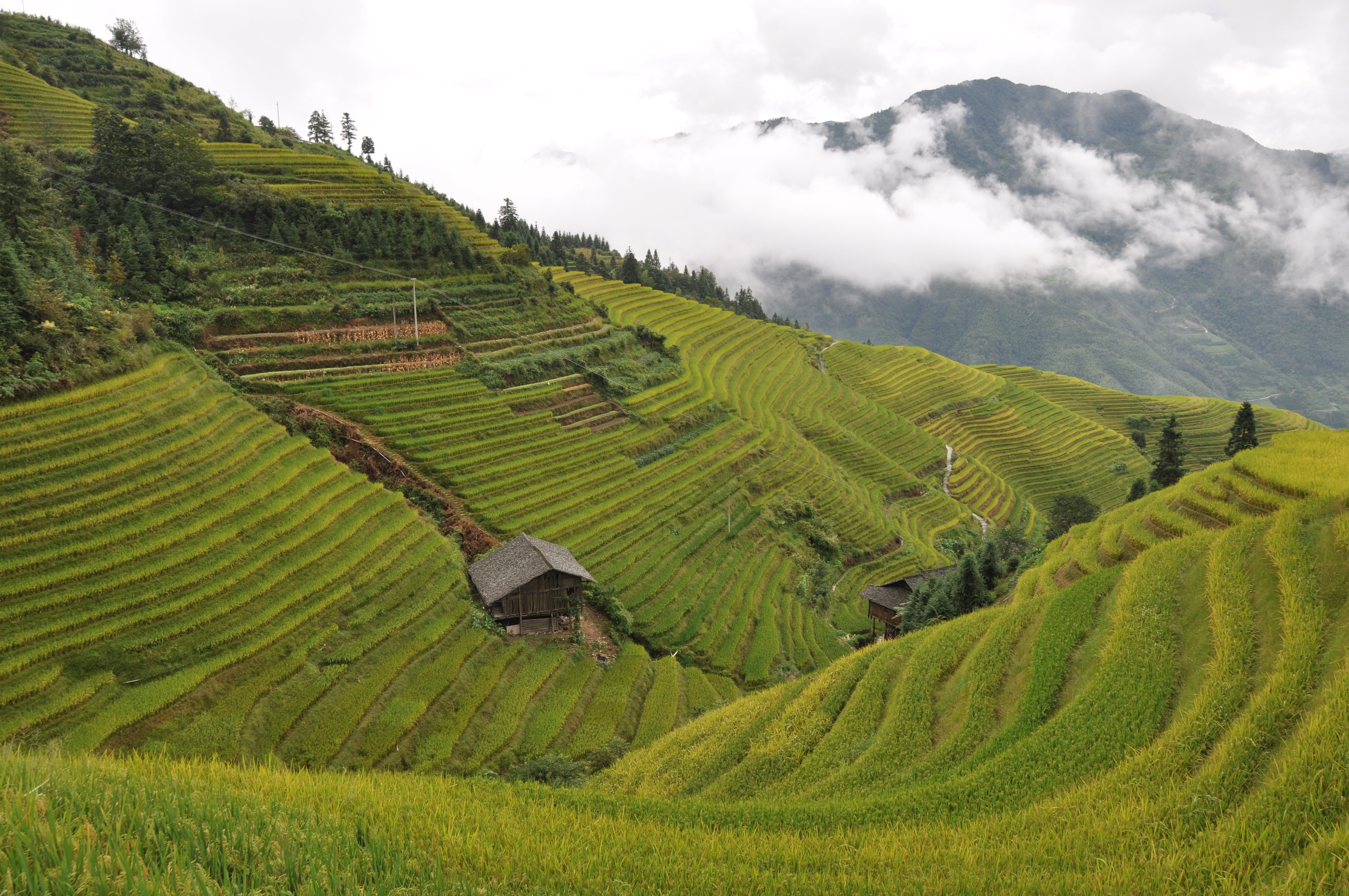 twotraveltheworld-lesrizieresenterrassedeLongji