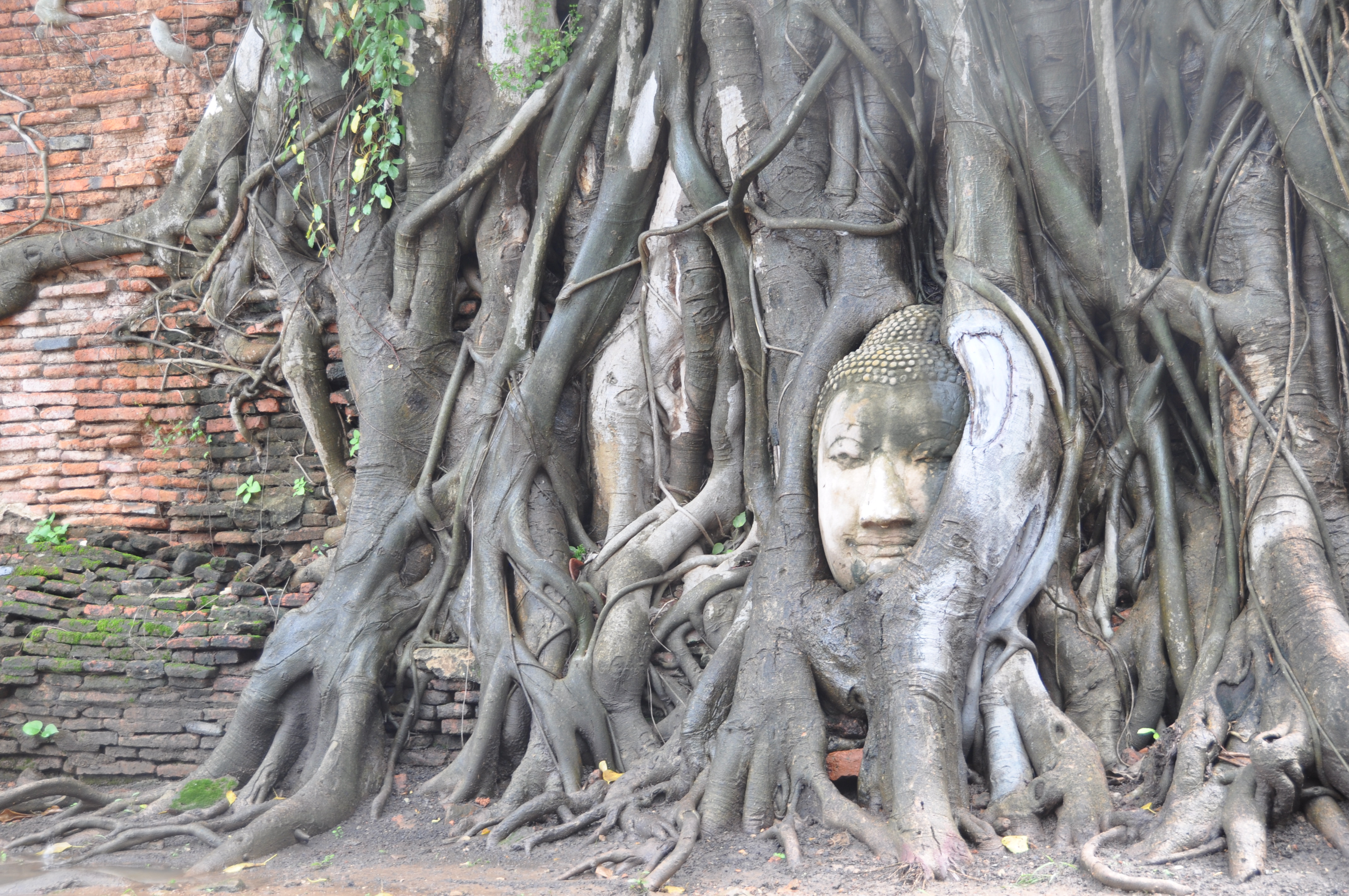 twotraveltheworld-Ayutthaya