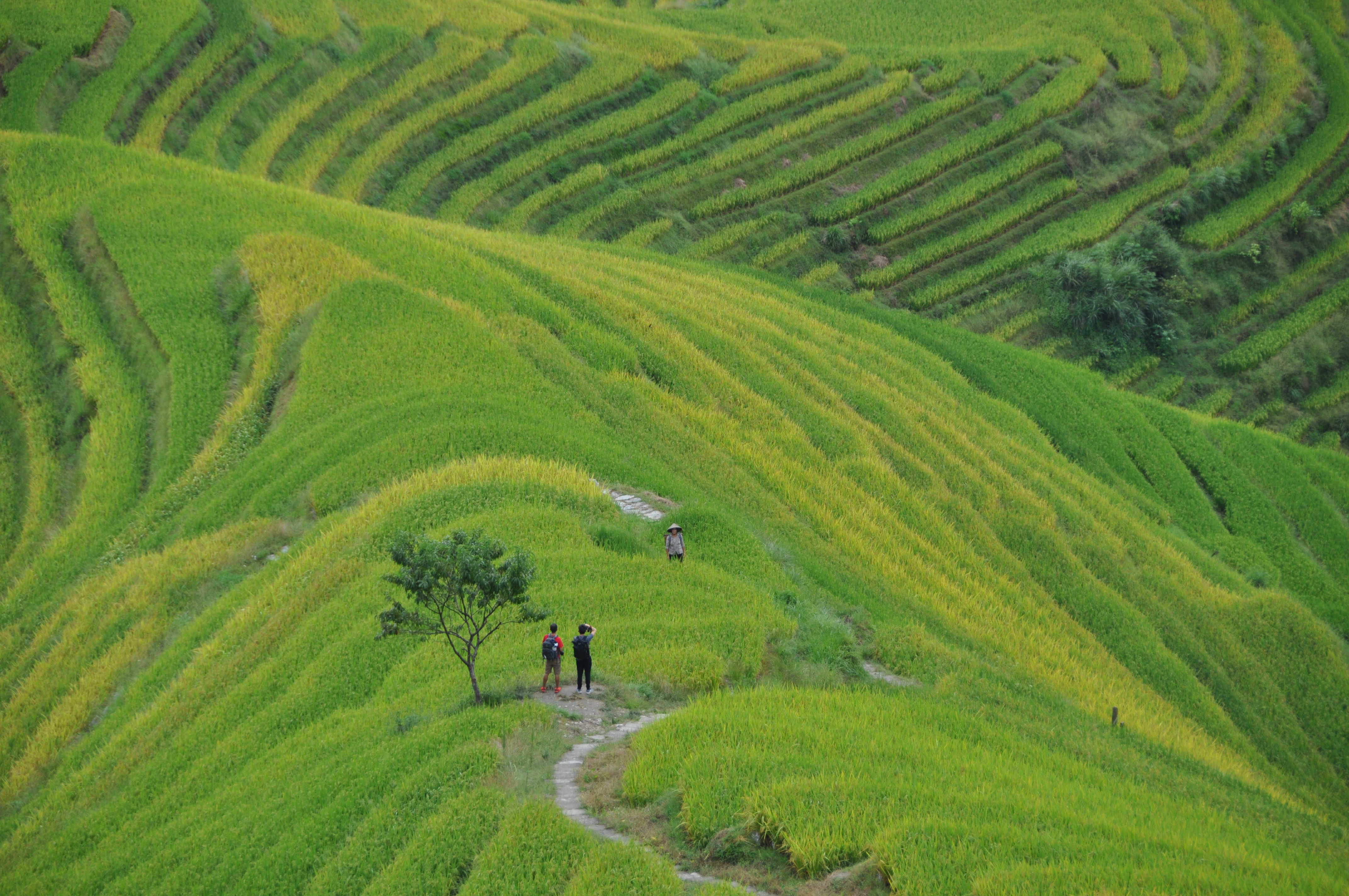 Two Travel The World - Longji Rice Terraces