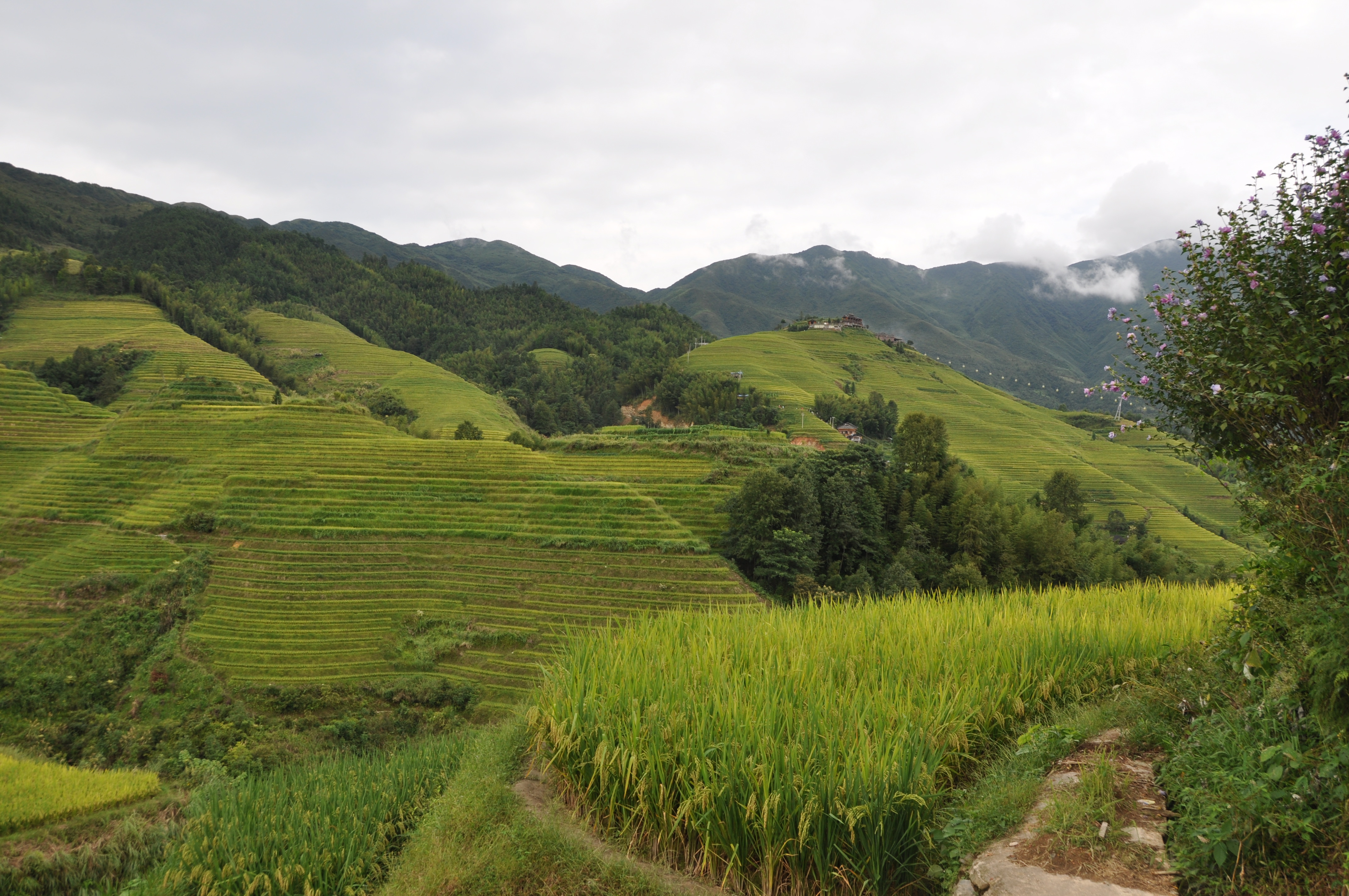 Two Travel The World - Longji Rice Terraces