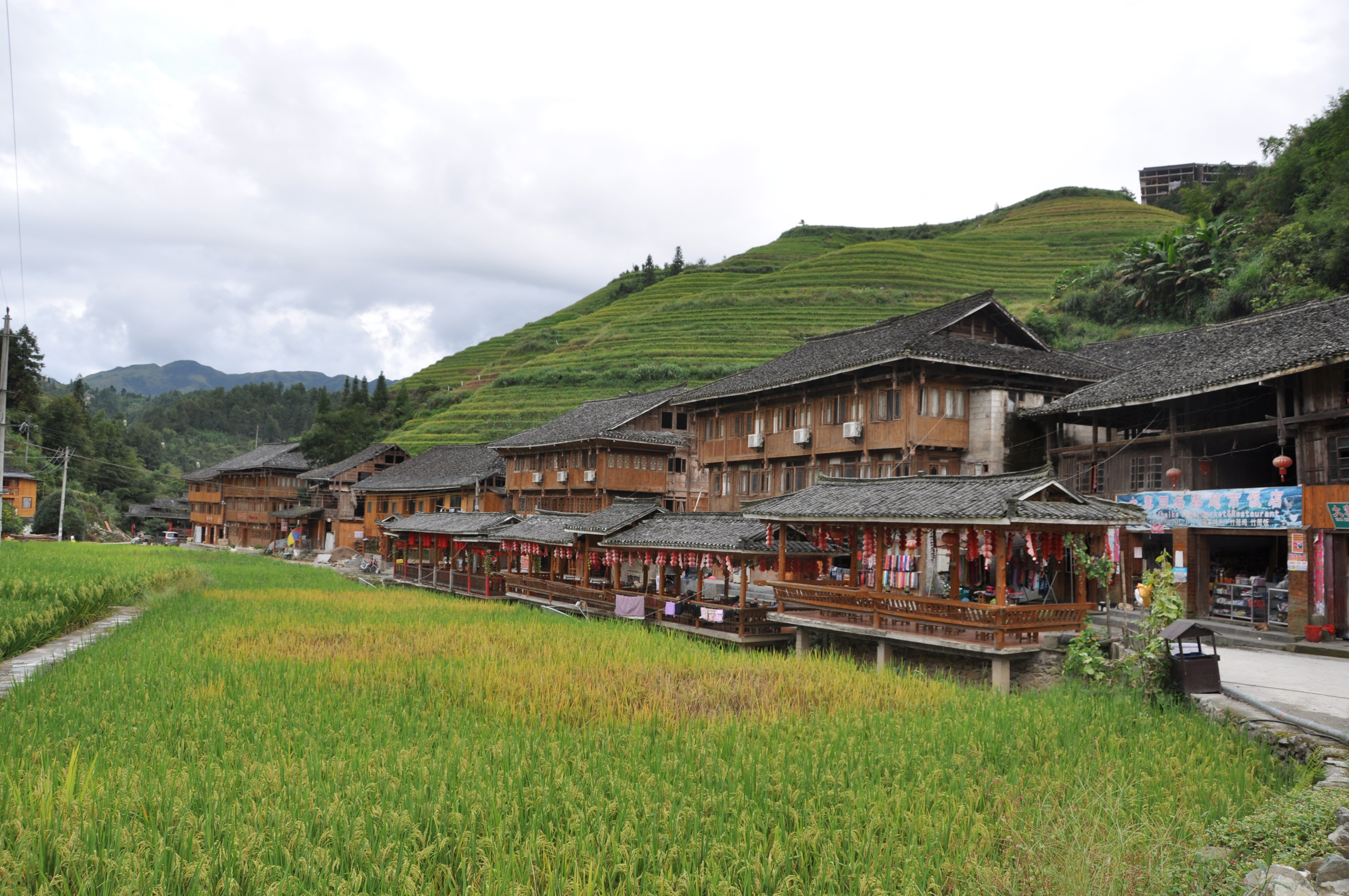 Two Travel The World - Longji Rice Terraces