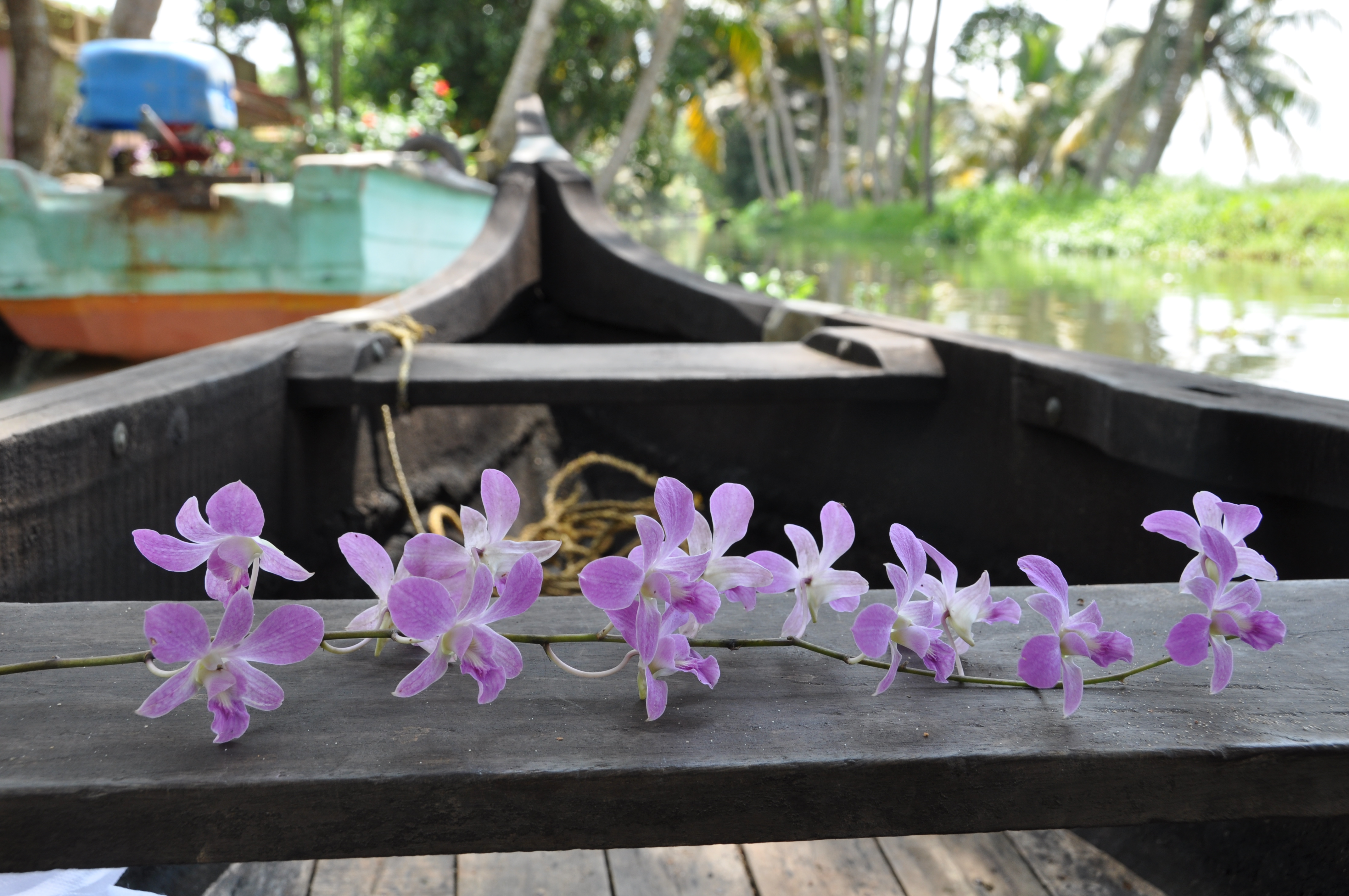 Two Travel The World - Our Alappuzha eco friendly houseboat