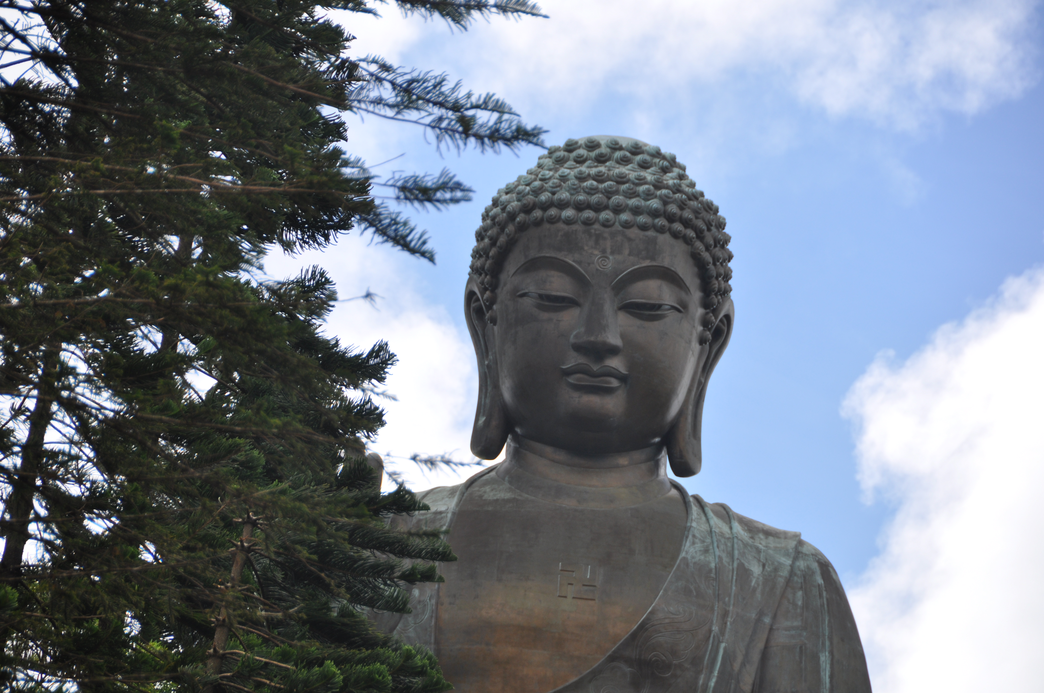 Two Travel The World - Tian Tan Big Buddha & Po Lin Monastery