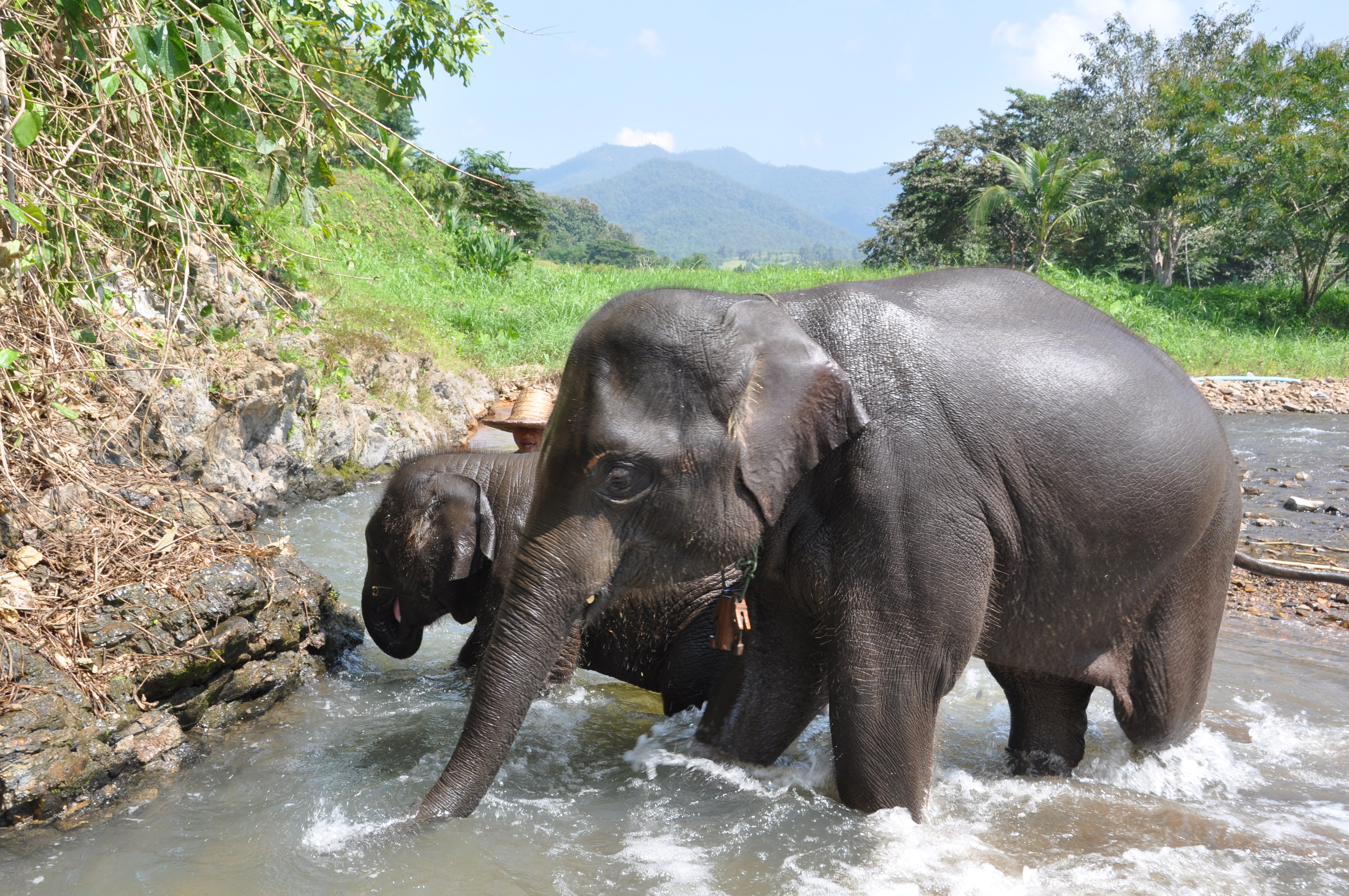 twotraveltheworld-Chiang Mai