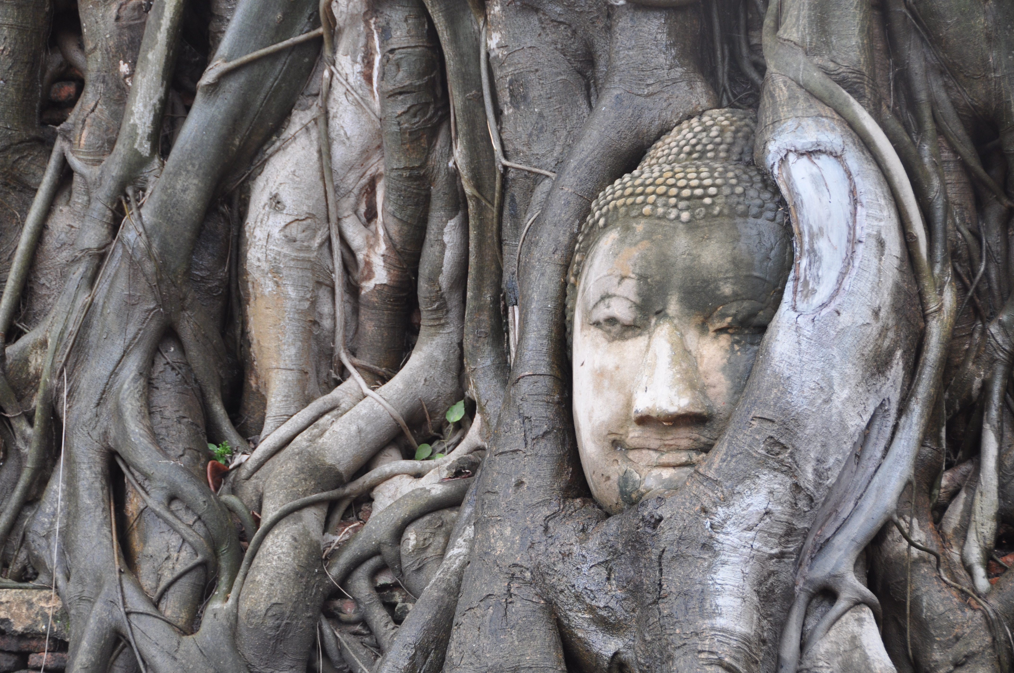 Two Travel The World - Ayutthaya - Wat Phra Mahathat