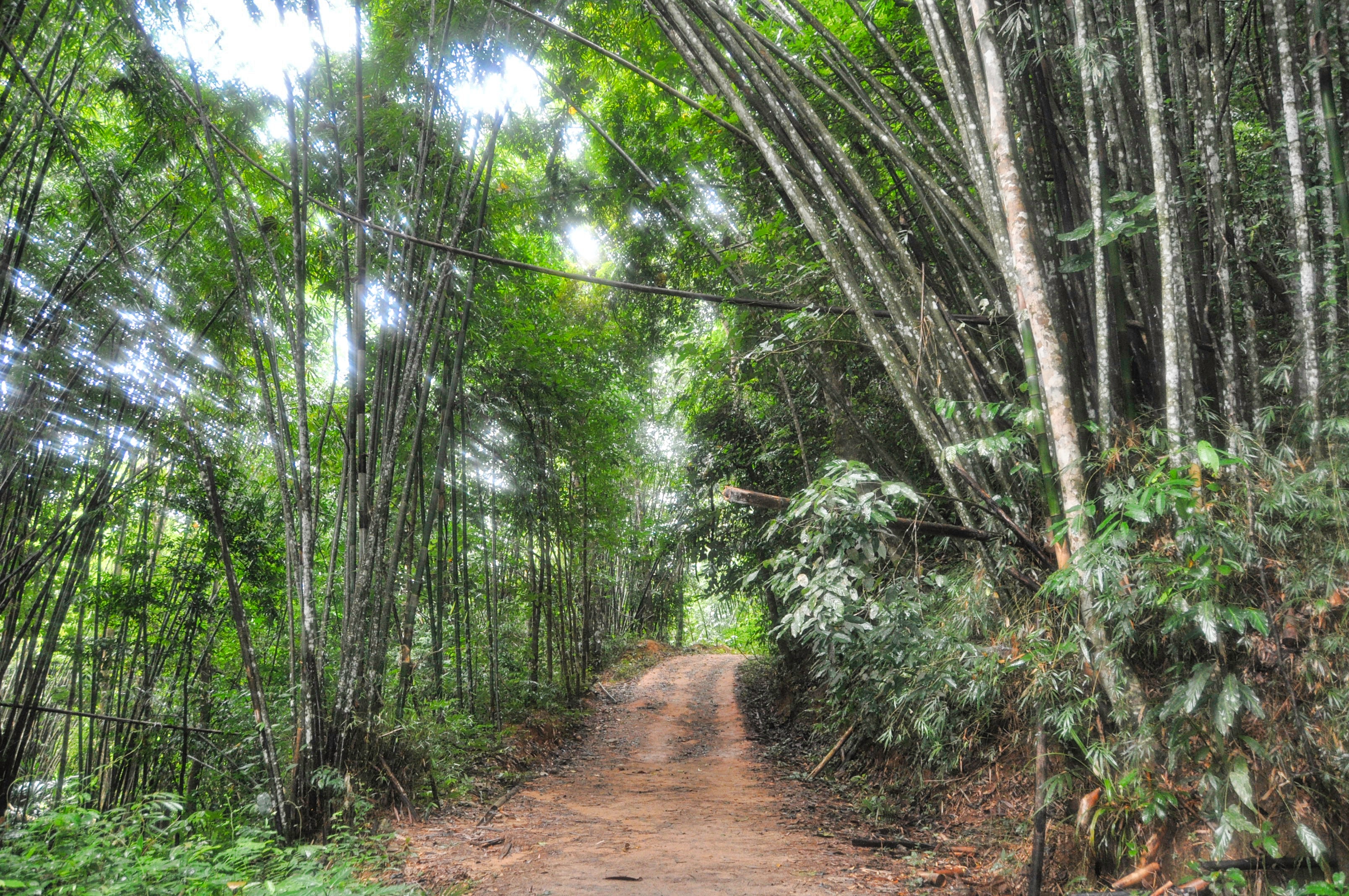 Two Travel The World - Khao Sok National Park Tours