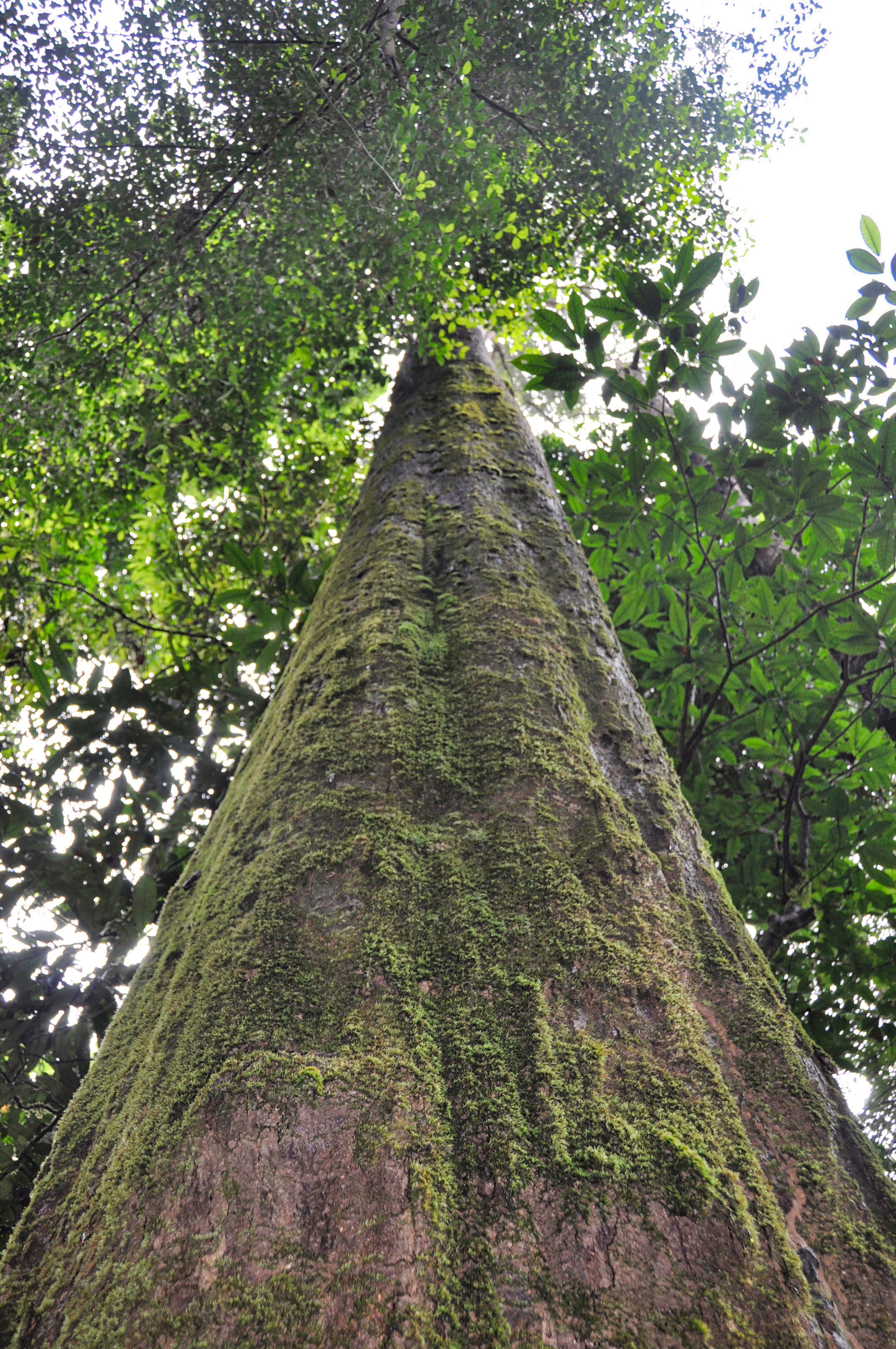Two Travel The World - Khao Sok National Park Tours