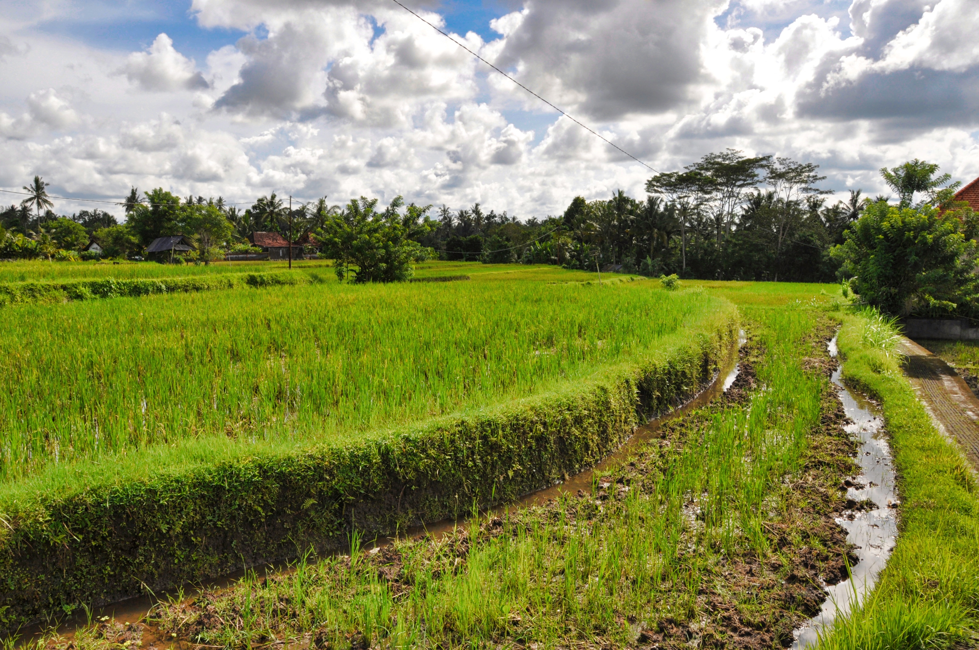 twotraveltheworld-Ubud