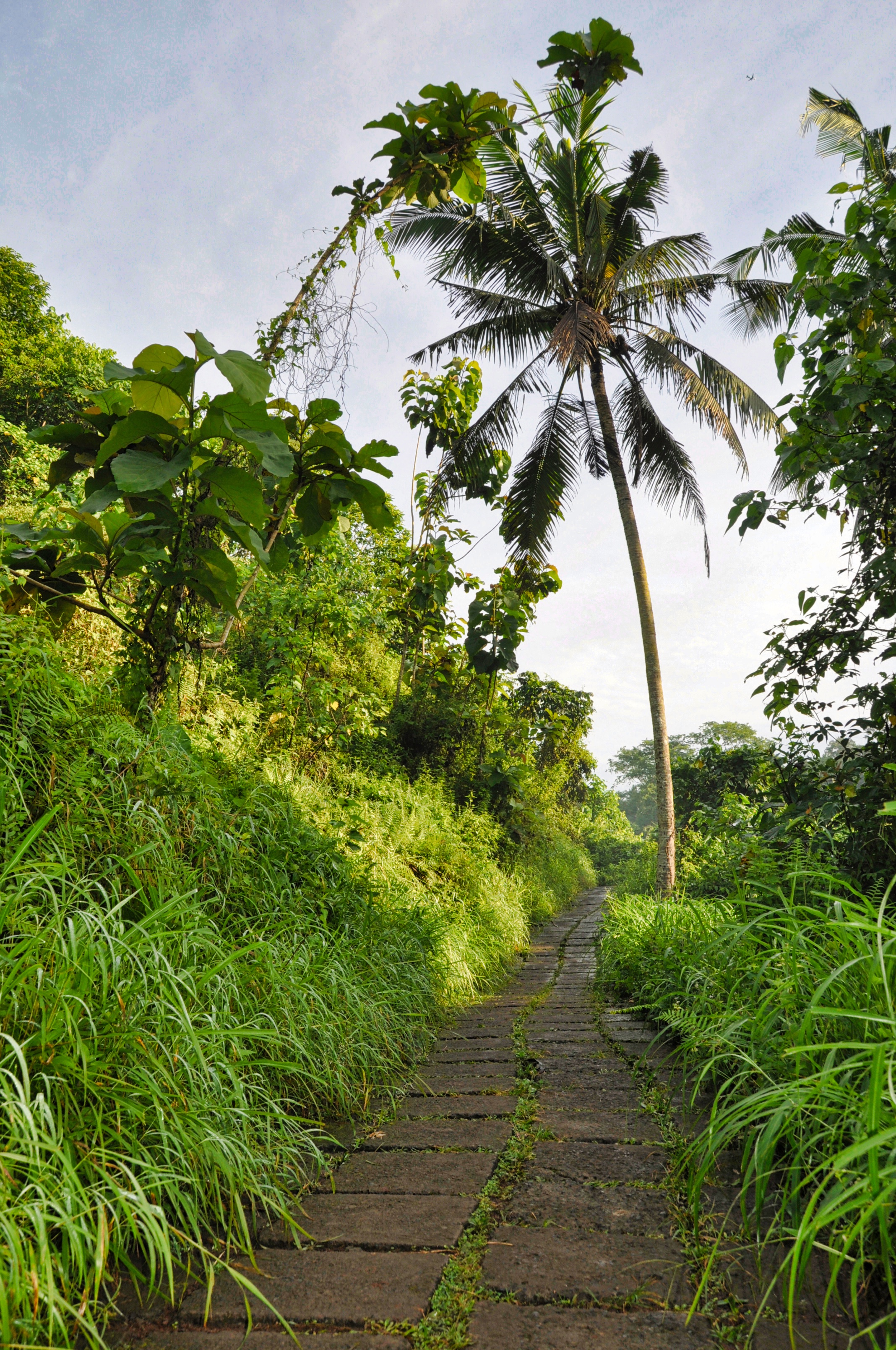 Two Travel The World - Campuhan Ridge Walk