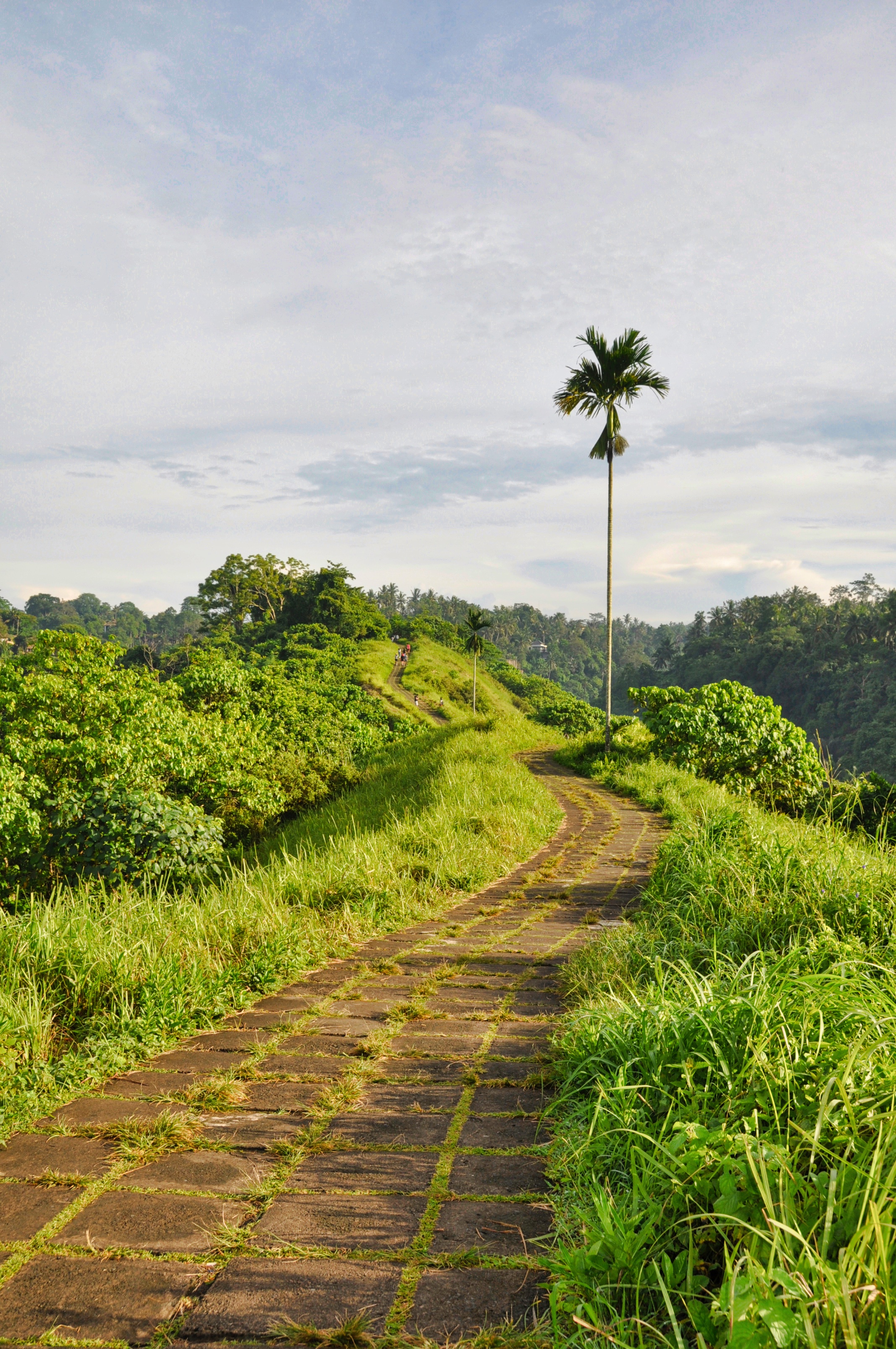 Two Travel The World - Campuhan Ridge Walk