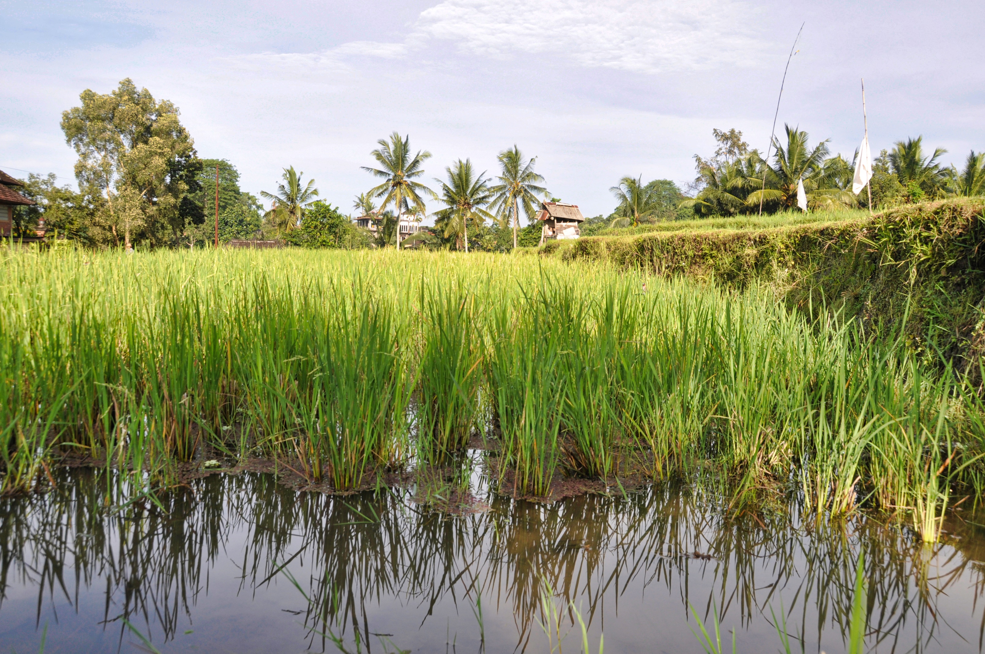 twotraveltheworld-Ubud