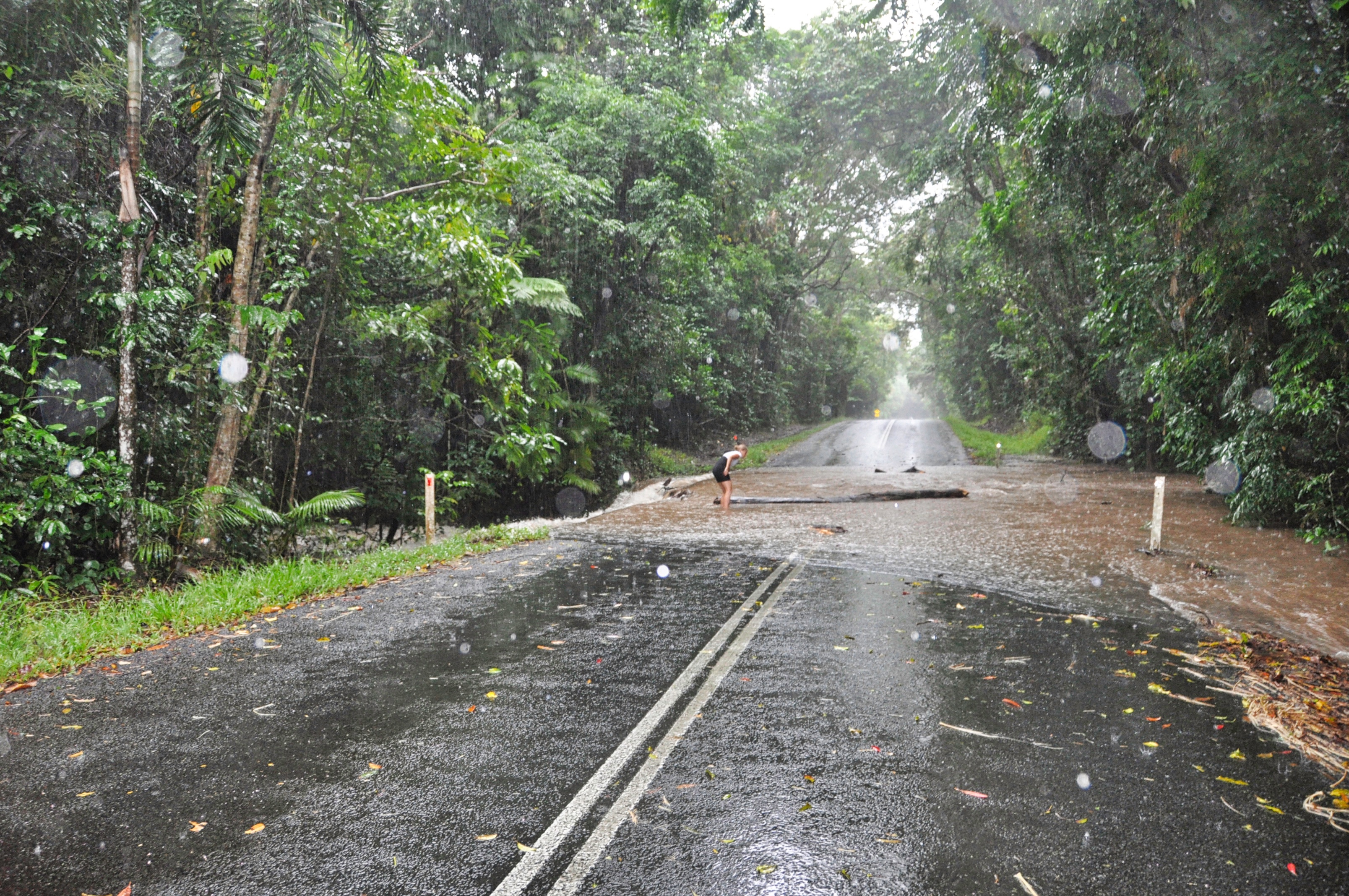 Two Travel The World - Daintree Rainforest Tours