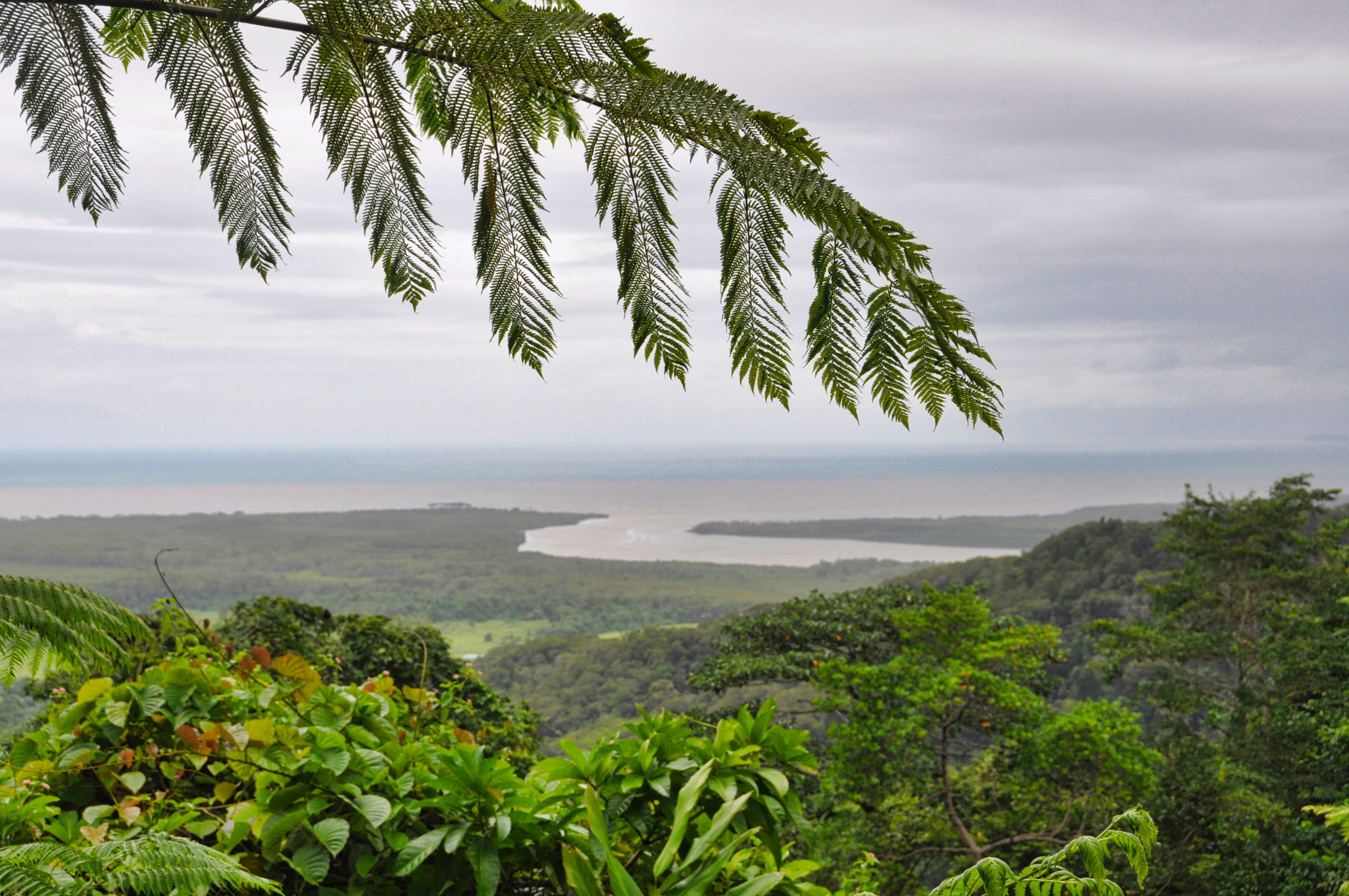 Two Travel The World - Daintree Rainforest Tours