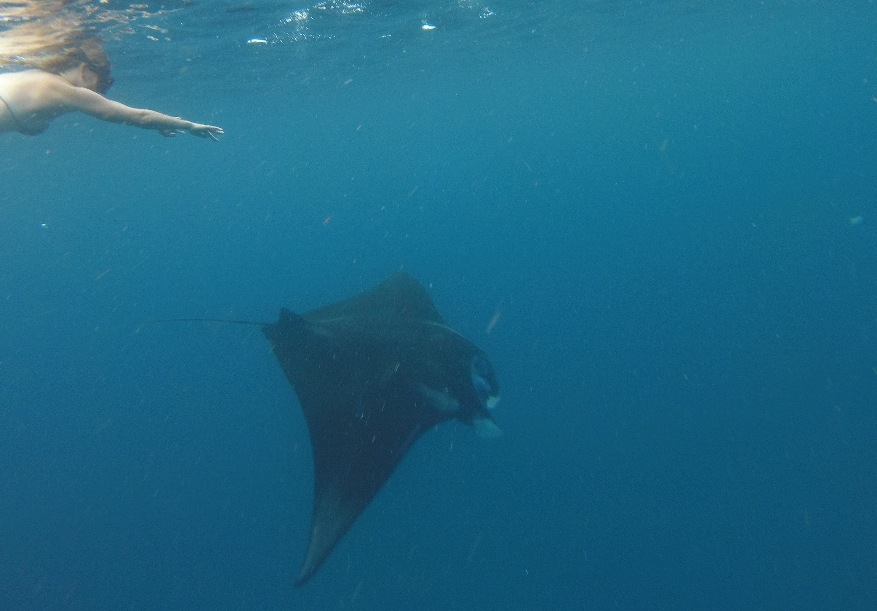 Two Travel The World - Manta Point Labuan Bajo