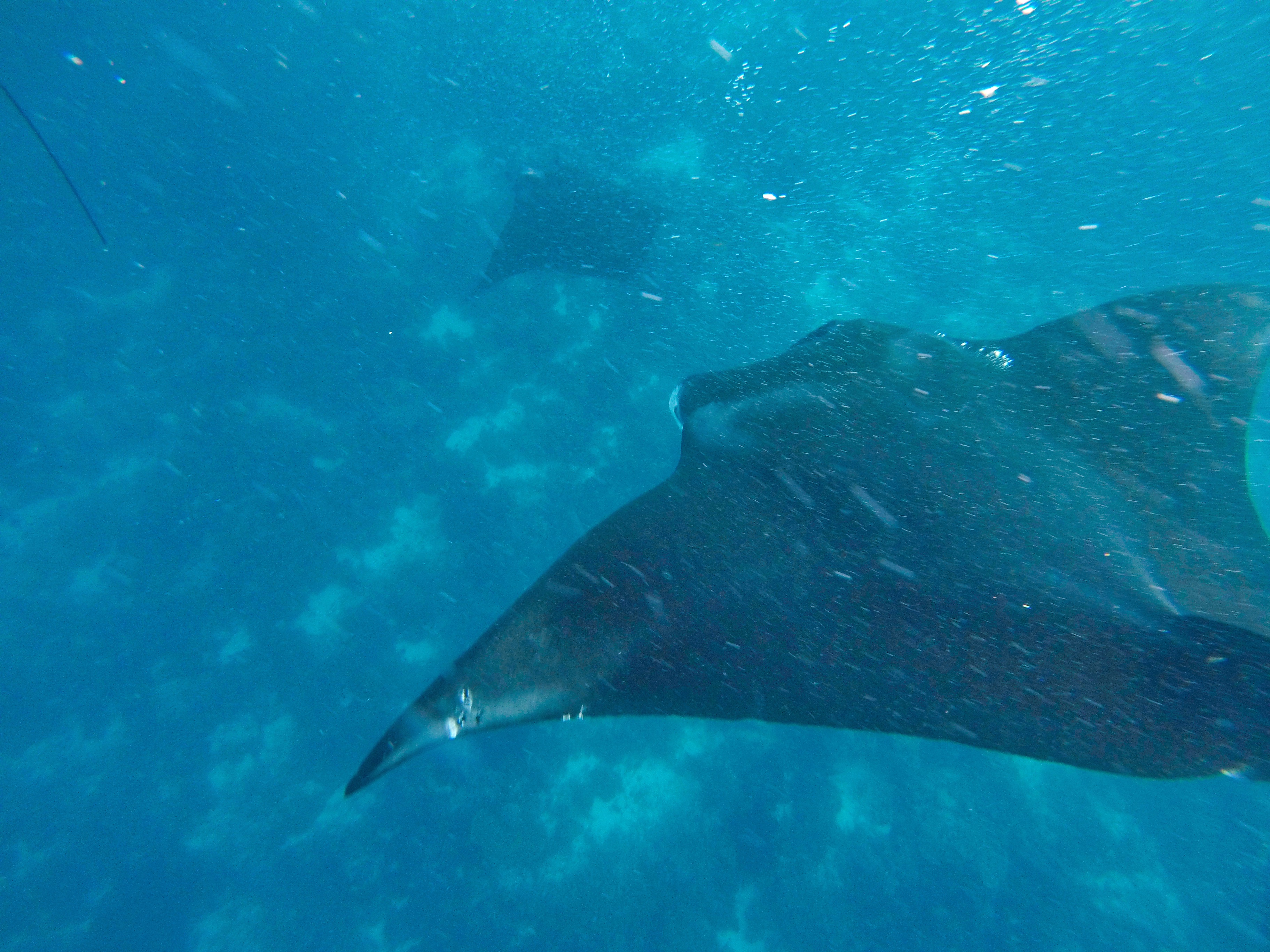 twotraveltheworld-croisierekomodo