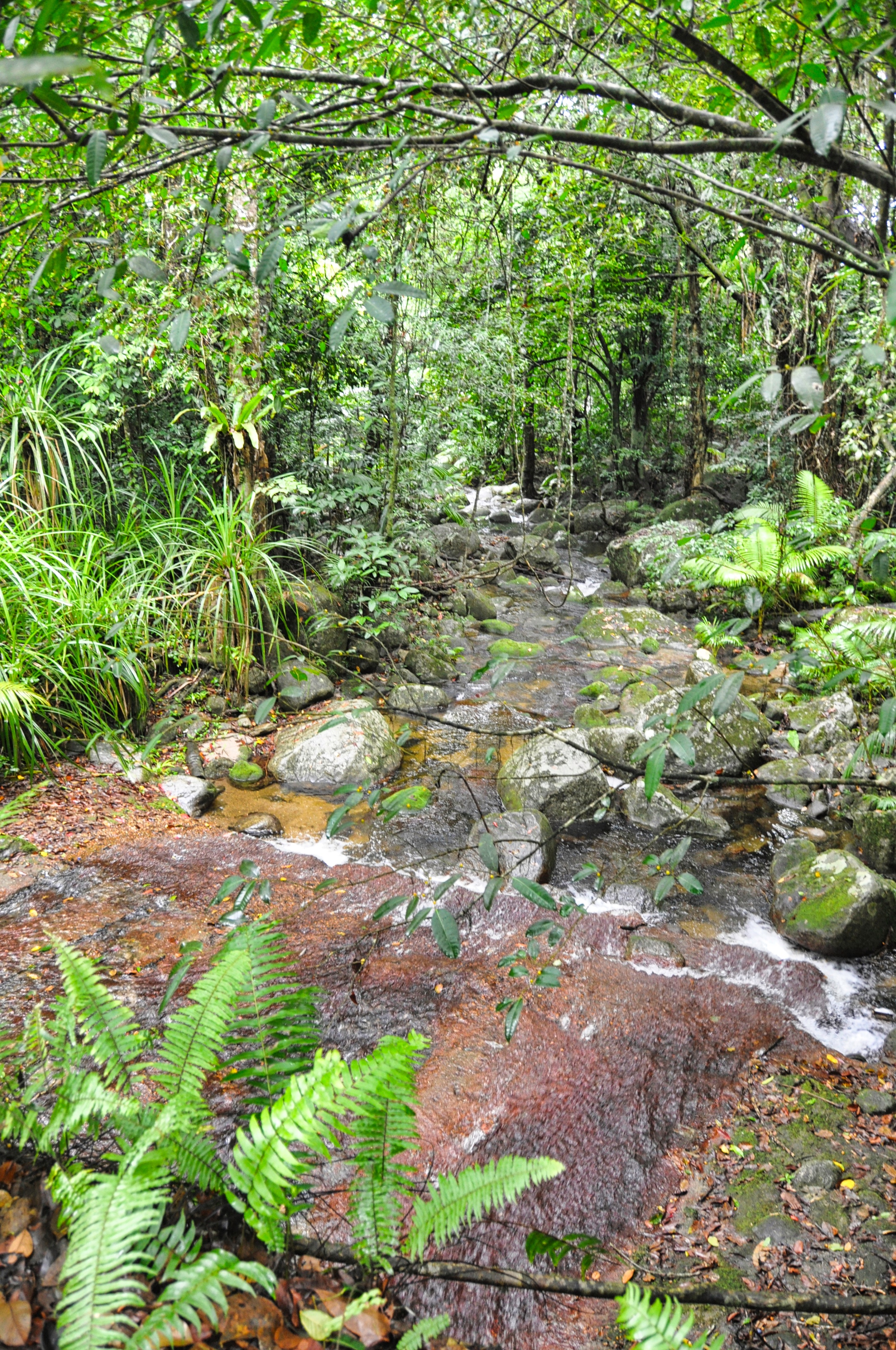 Two Travel The World - Mossman Gorge Walk