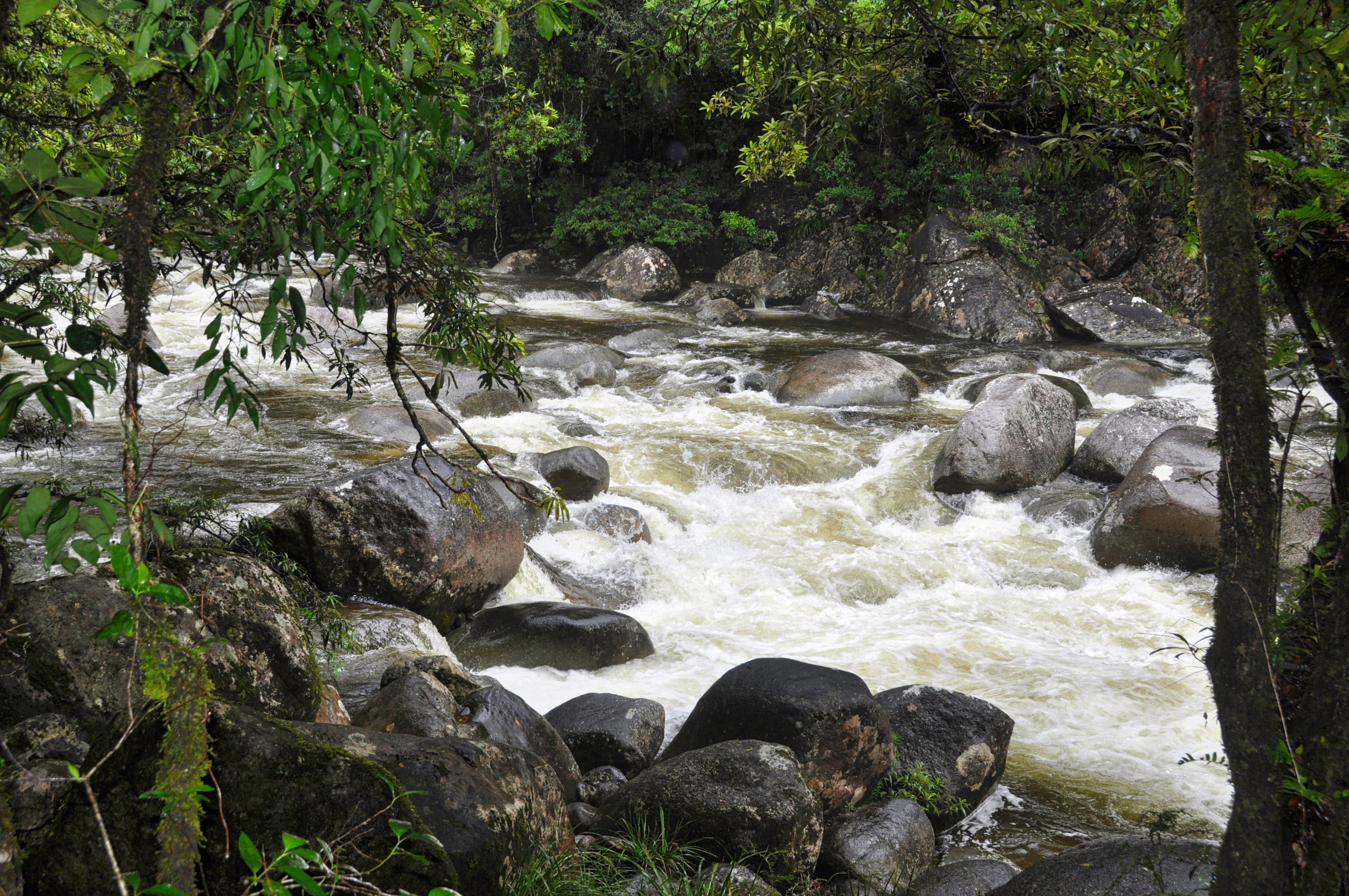 Two Travel The World - Mossman Gorge Walk