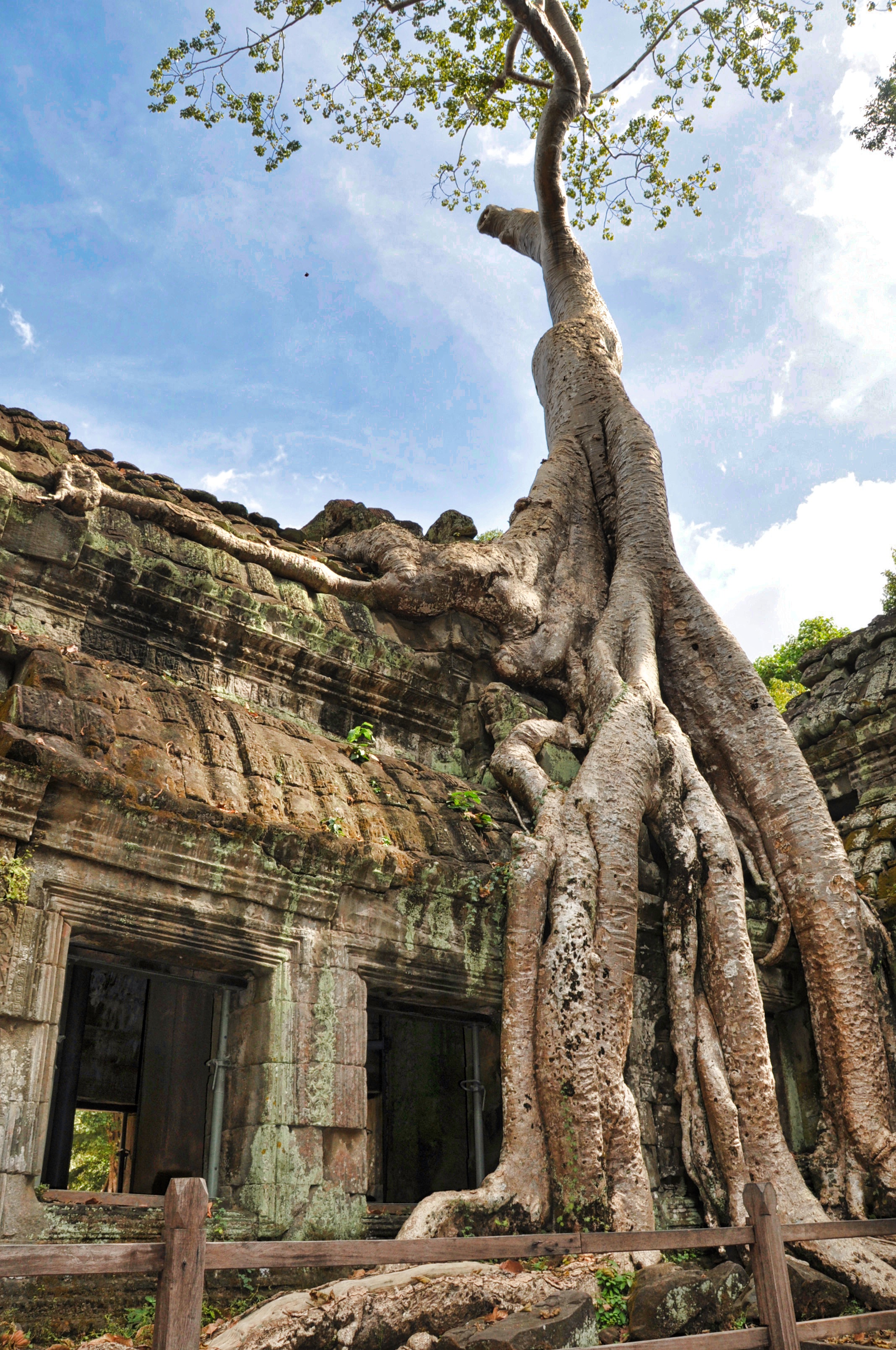 Two Travel The World - The Small Circuit Angkor - Ta Prohm