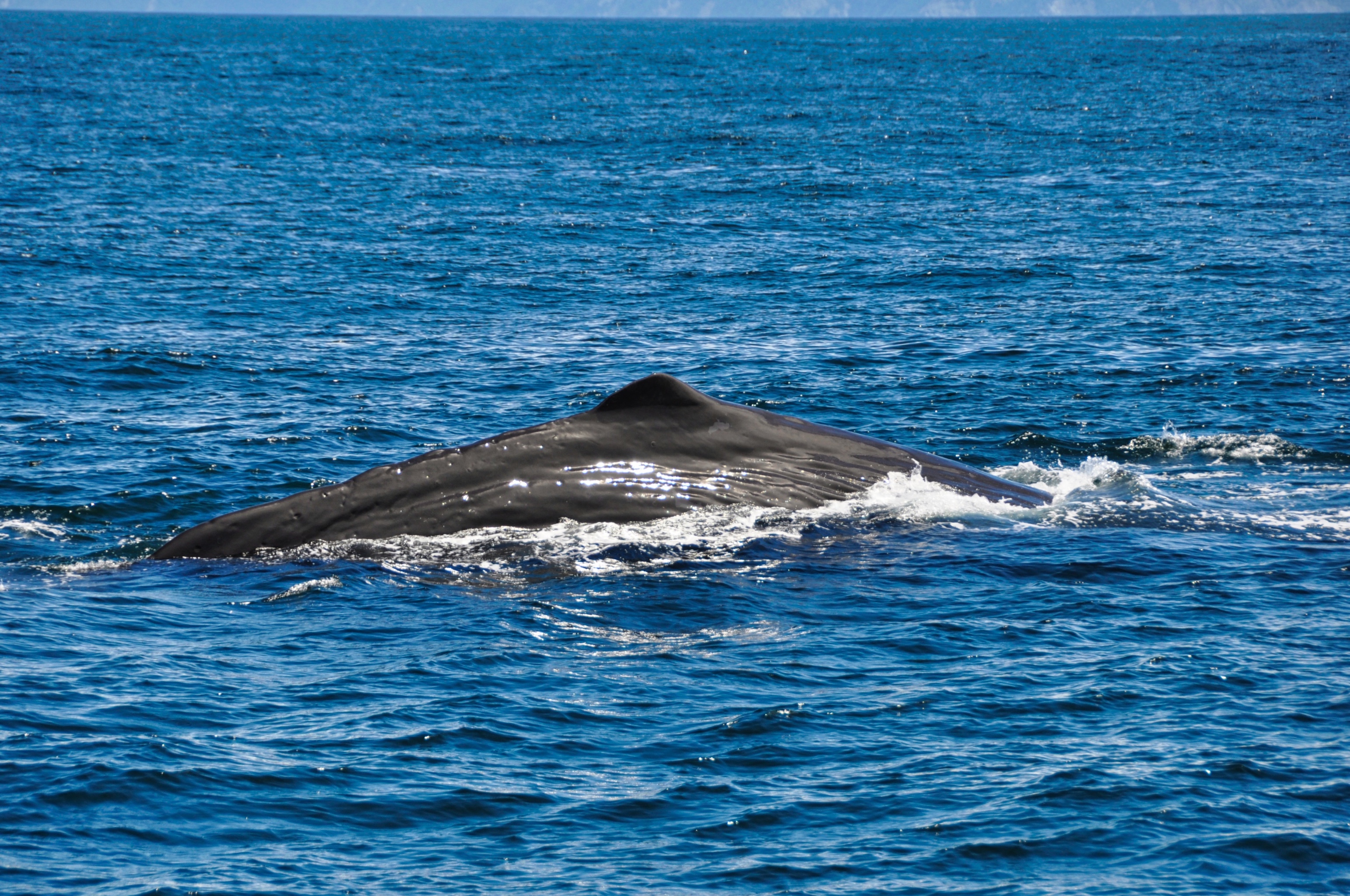 twotraveltheworld-Kaikoura