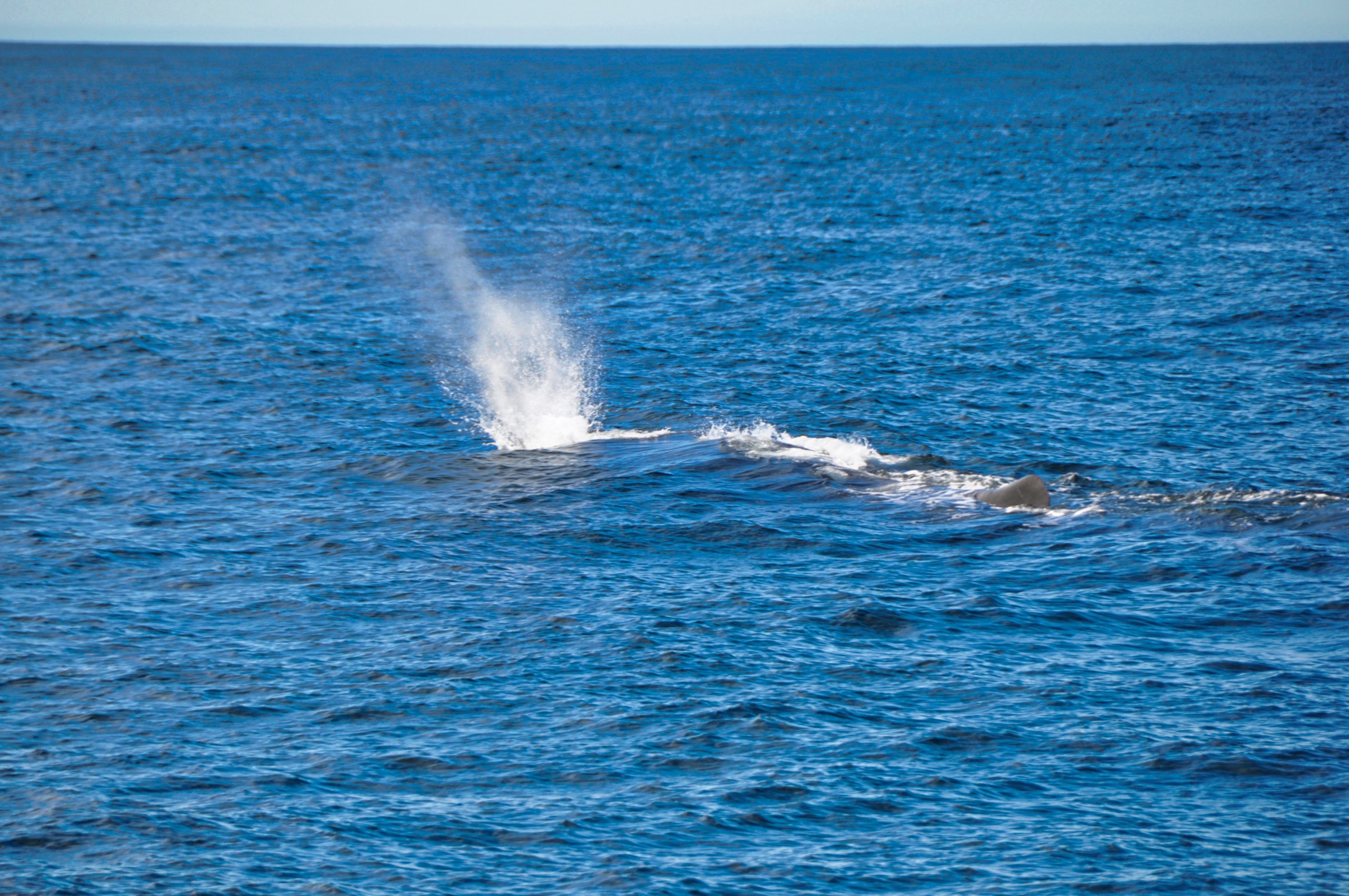 twotraveltheworld-Kaikoura