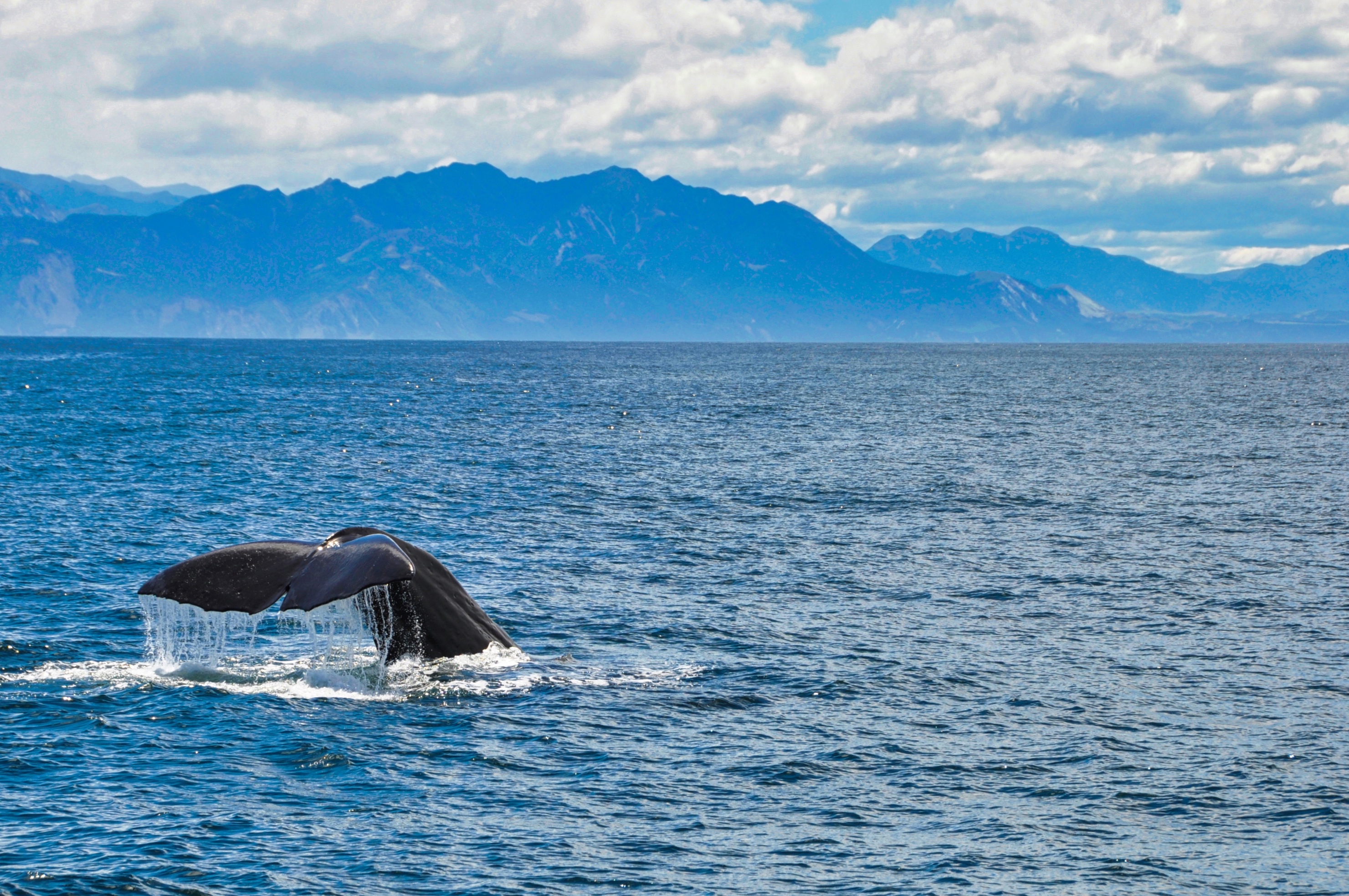 twotraveltheworld-Kaikoura