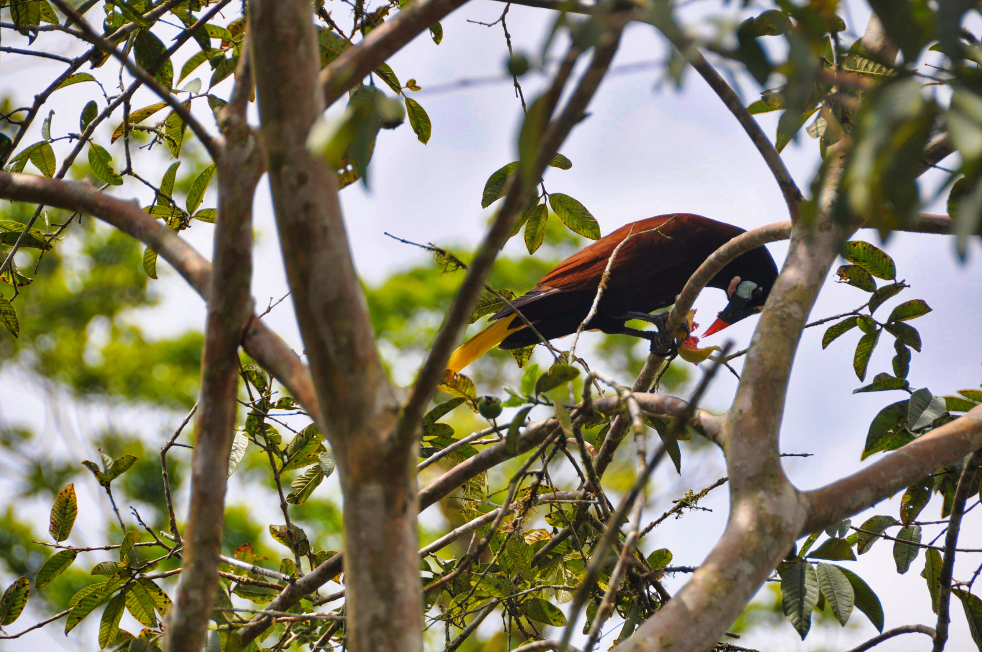 Two Travel The World - La fortuna hike - Mirador el Silencio