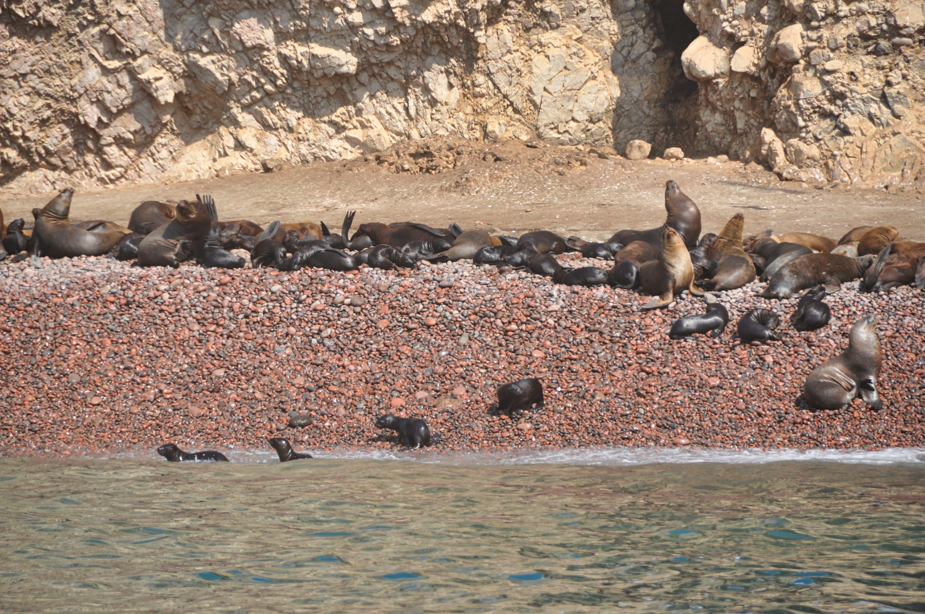 Two Travel The World - The Inside Guide to the Ballestas Islands of Peru