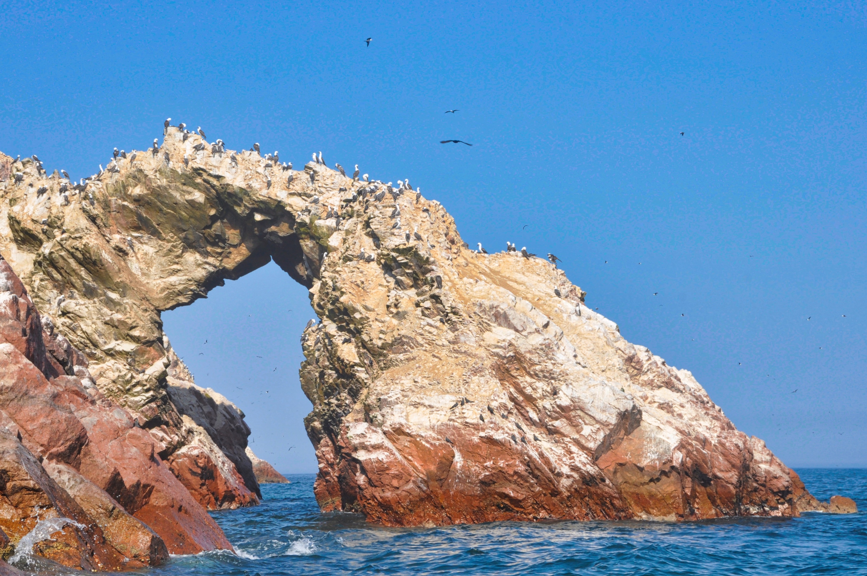 Two Travel The World - The Inside Guide to the Ballestas Islands of Peru