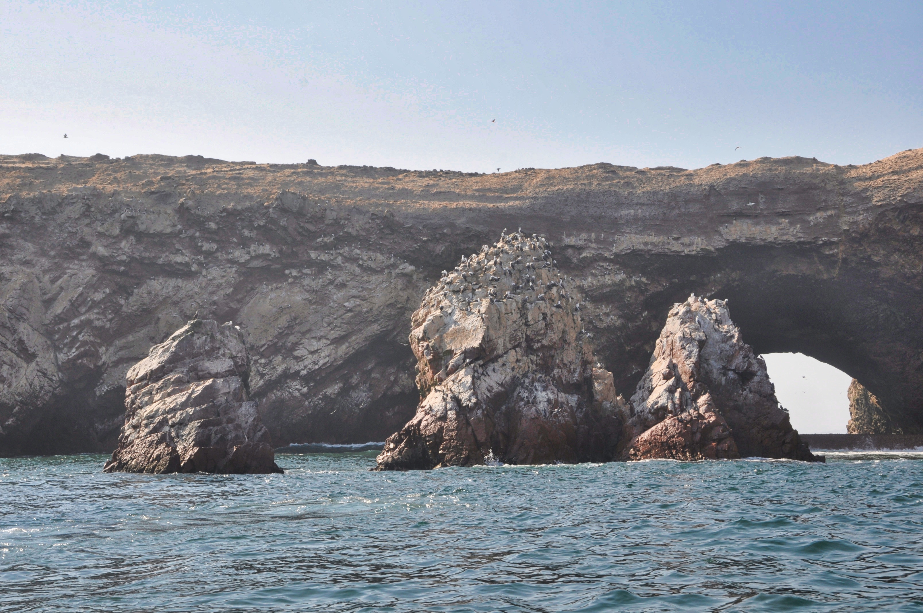 Two Travel The World - The Inside Guide to the Ballestas Islands of Peru