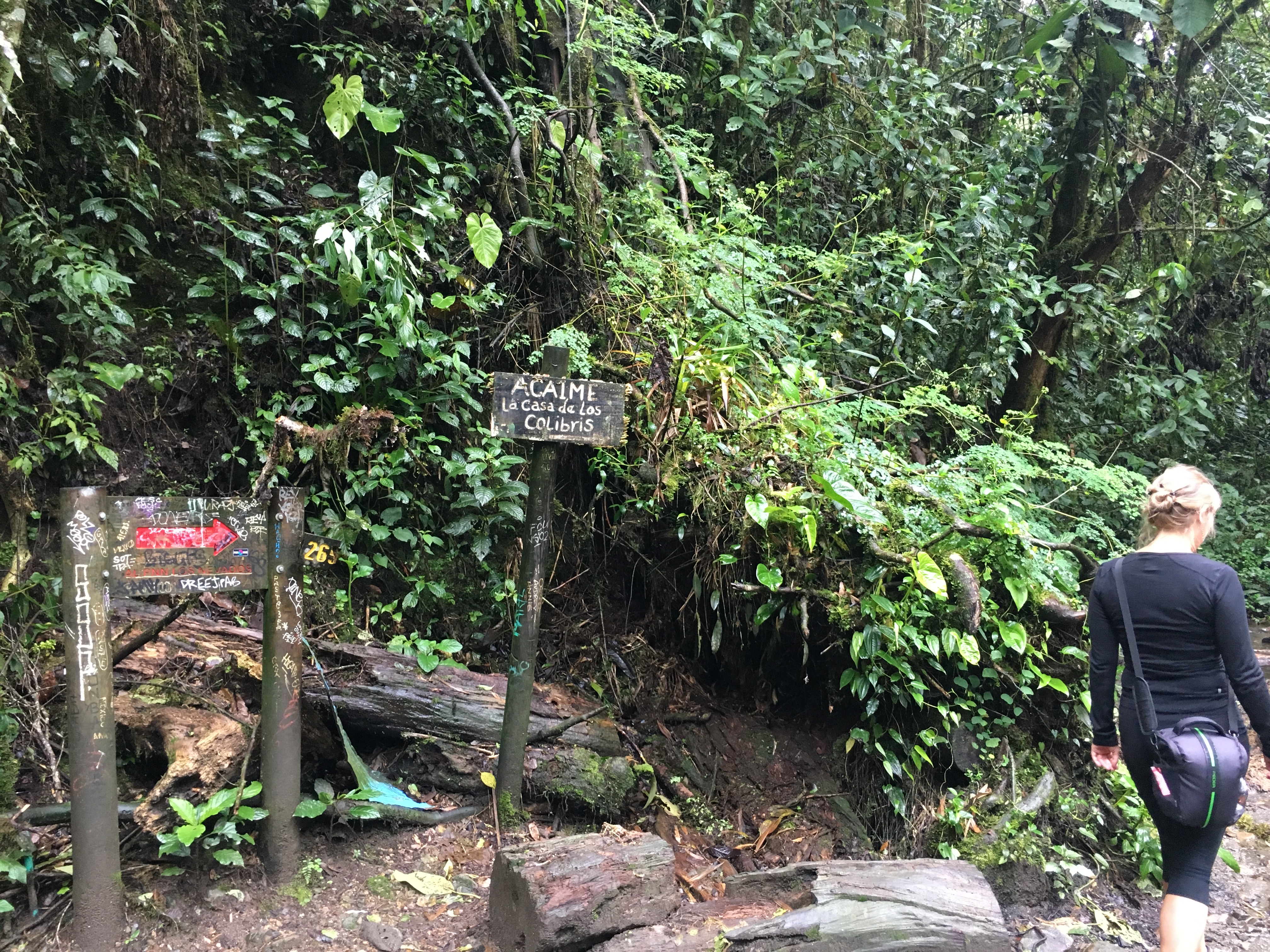 Two Travel The World - Valle de Cocora (Cocora Valley)