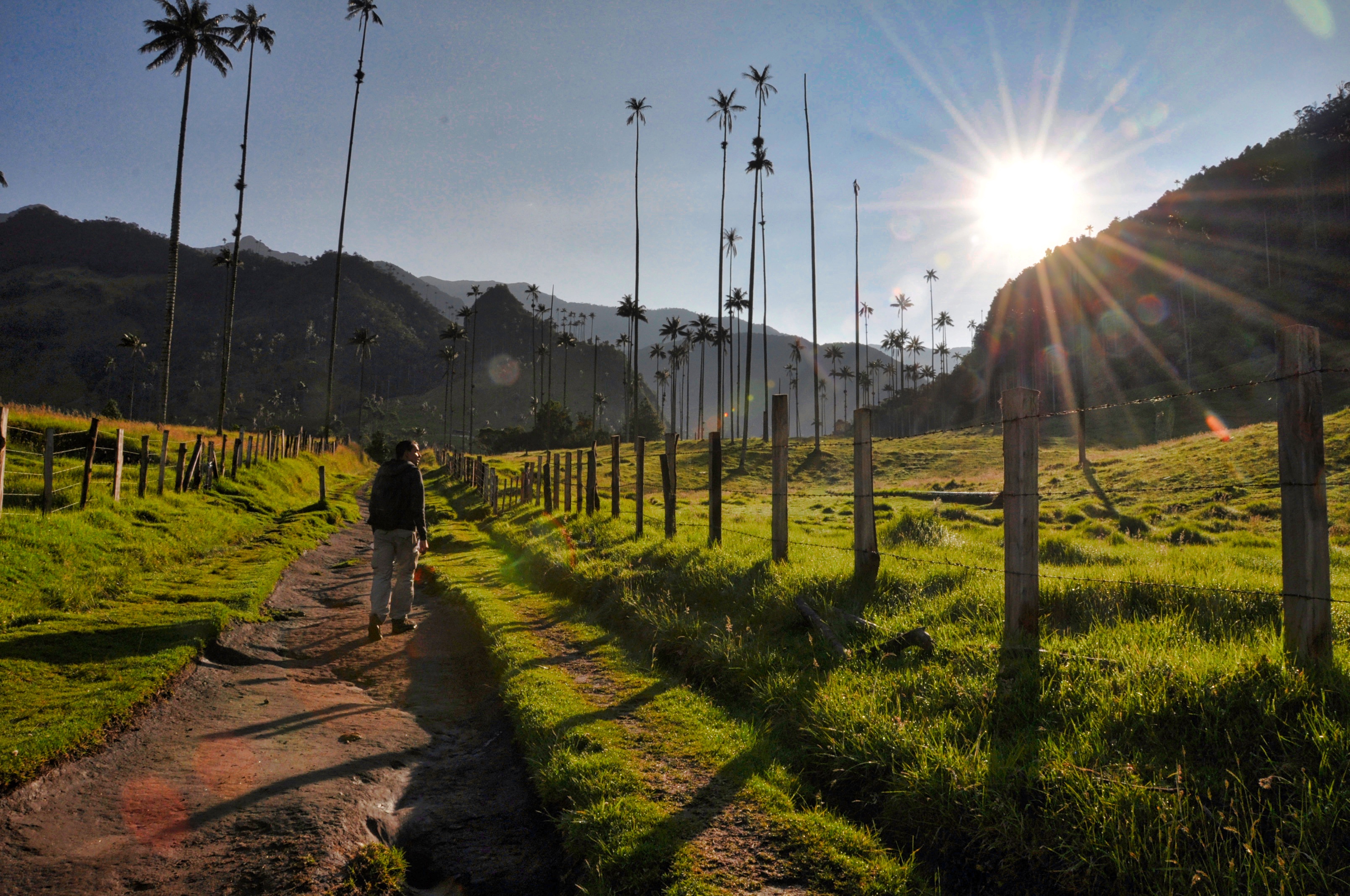 Two Travel The World - Valle de Cocora (Cocora Valley)