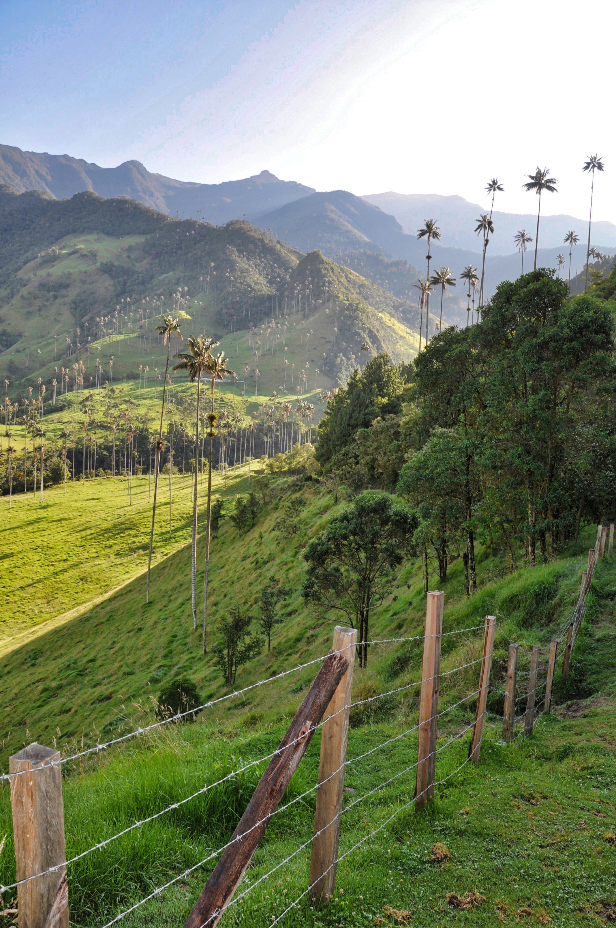 Two Travel The World - Valle de Cocora (Cocora Valley)