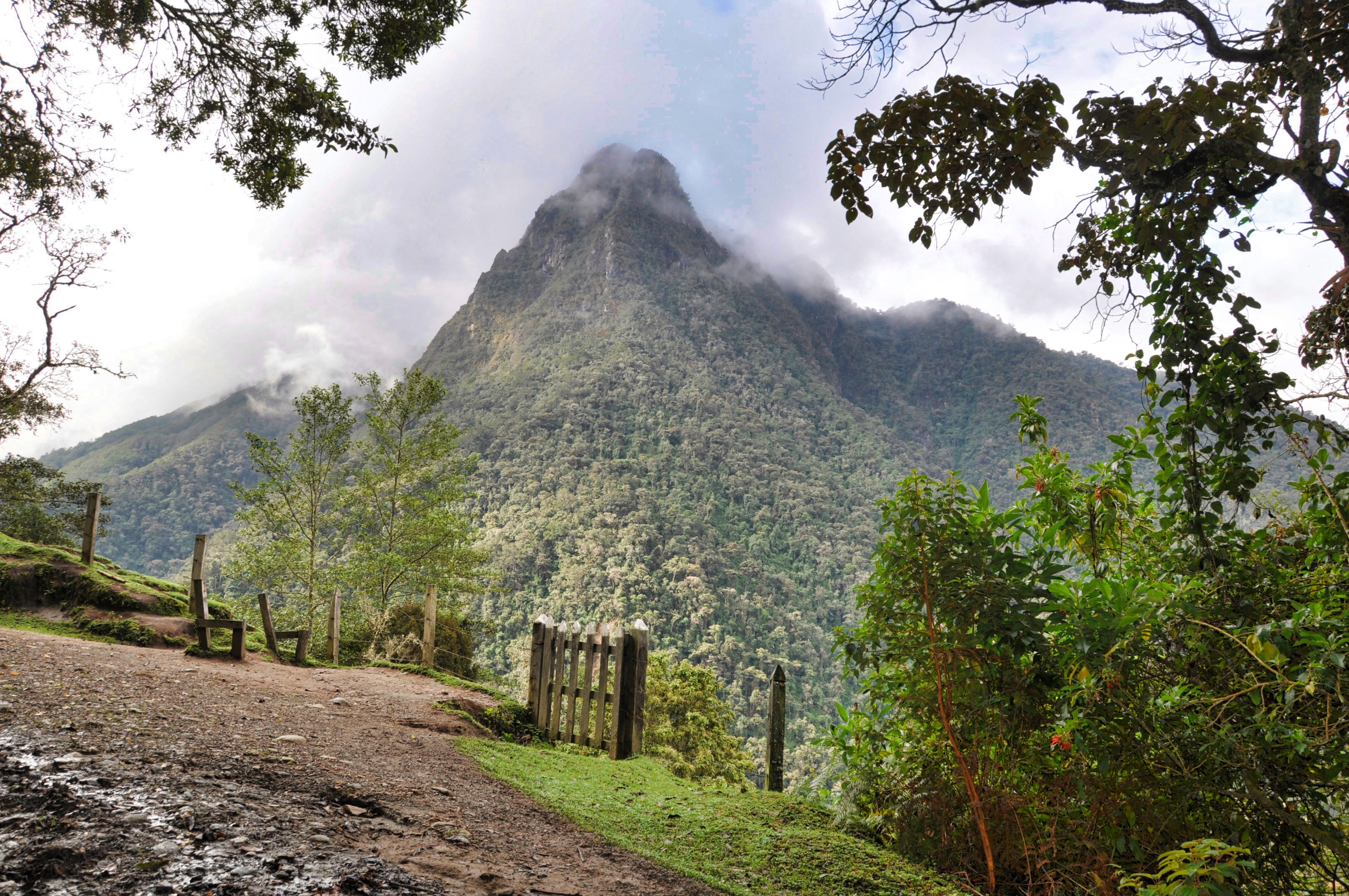 Two Travel The World - Valle de Cocora (Cocora Valley)