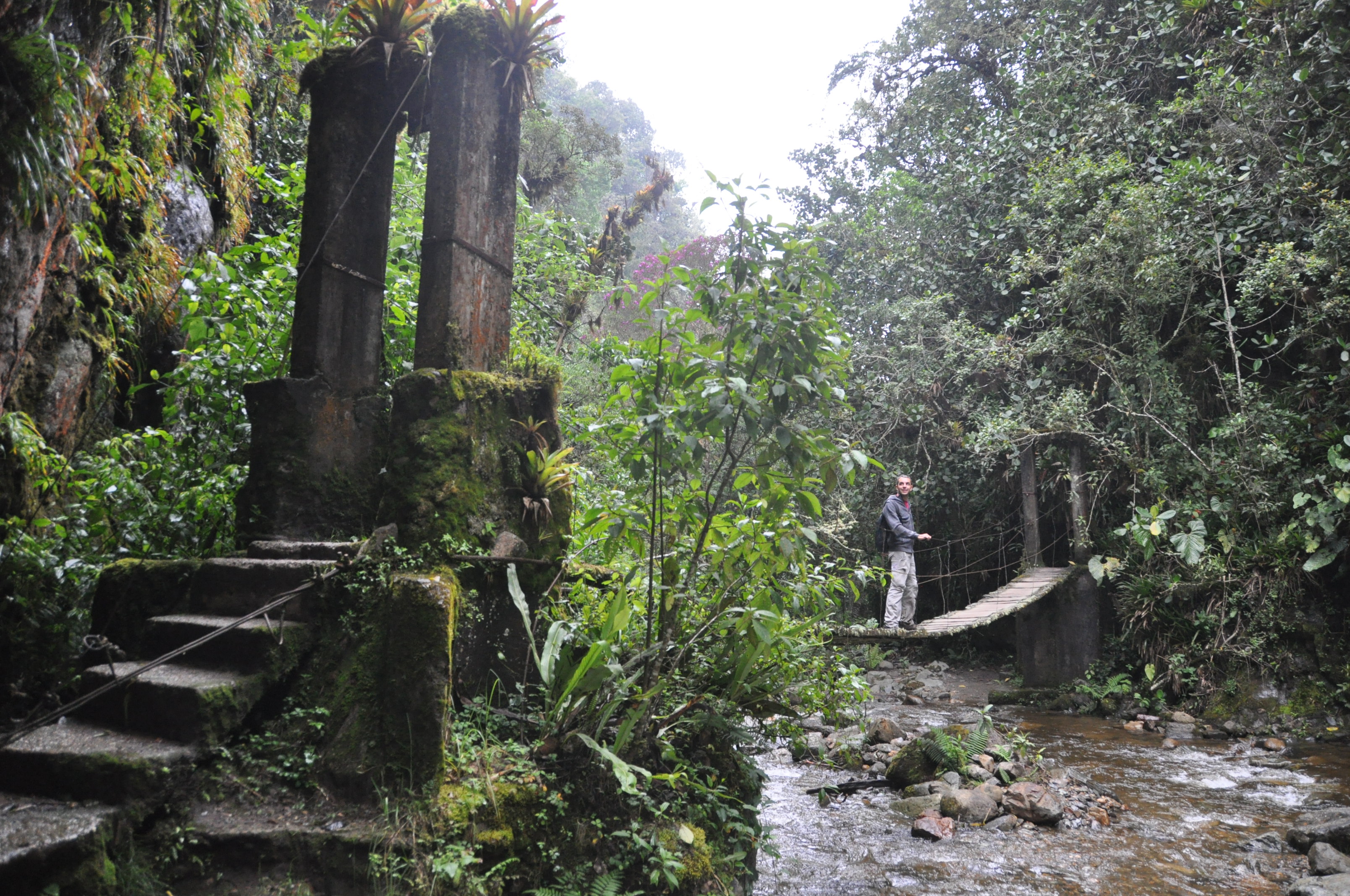 Two Travel The World - Valle de Cocora (Cocora Valley)