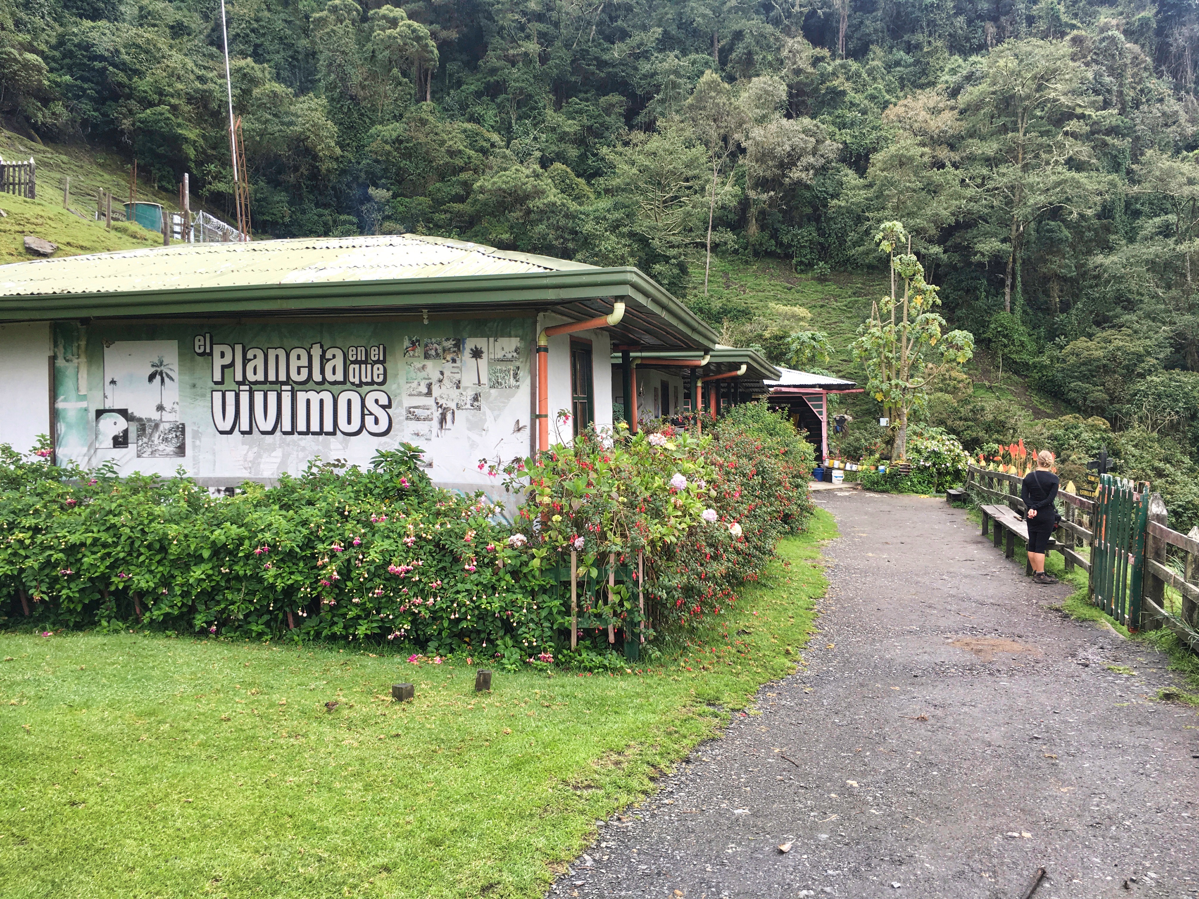 Two Travel The World - Valle de Cocora (Cocora Valley)