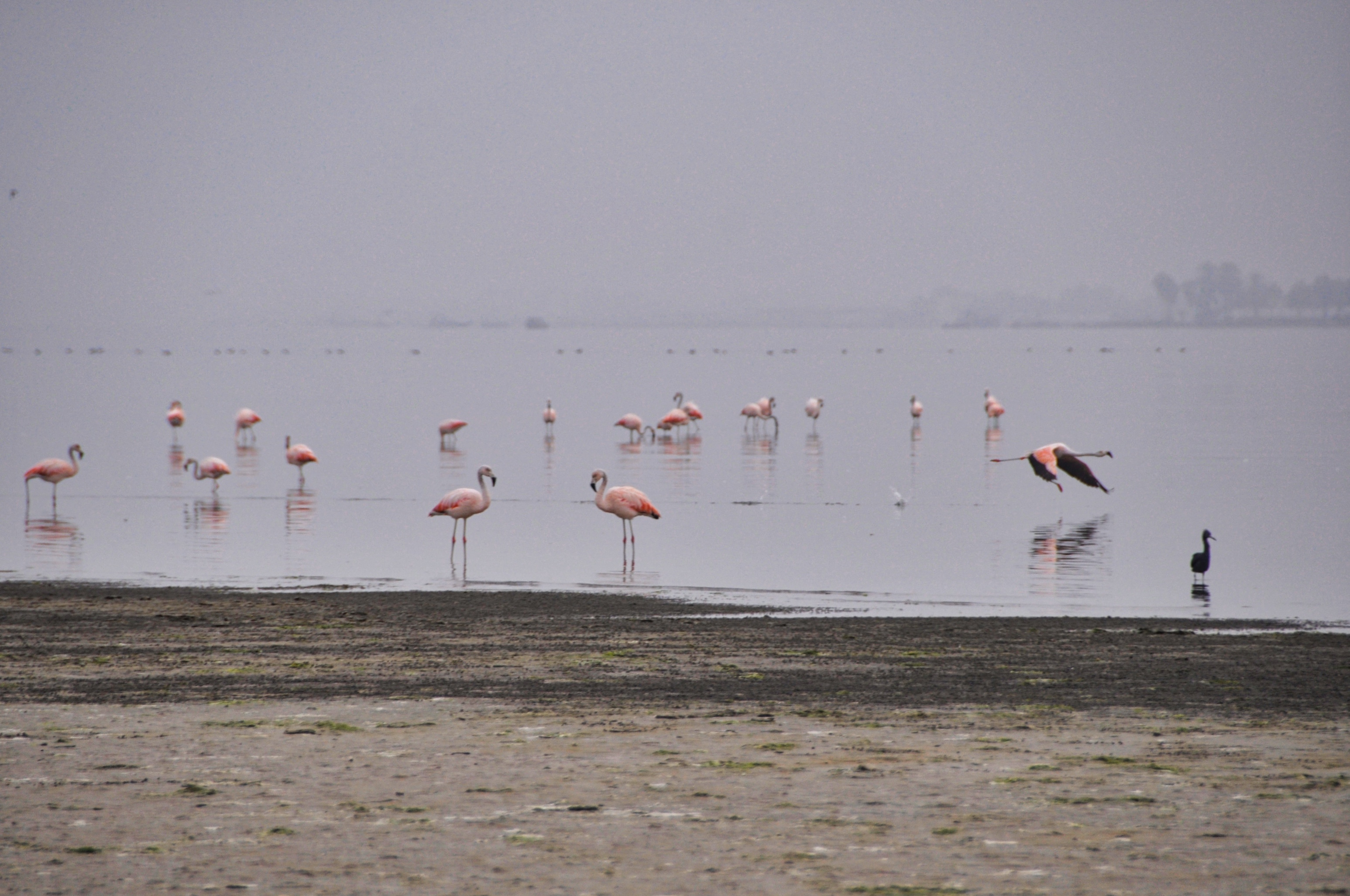 Two Travel The World - Cycling through the Paracas National Reserve in Peru