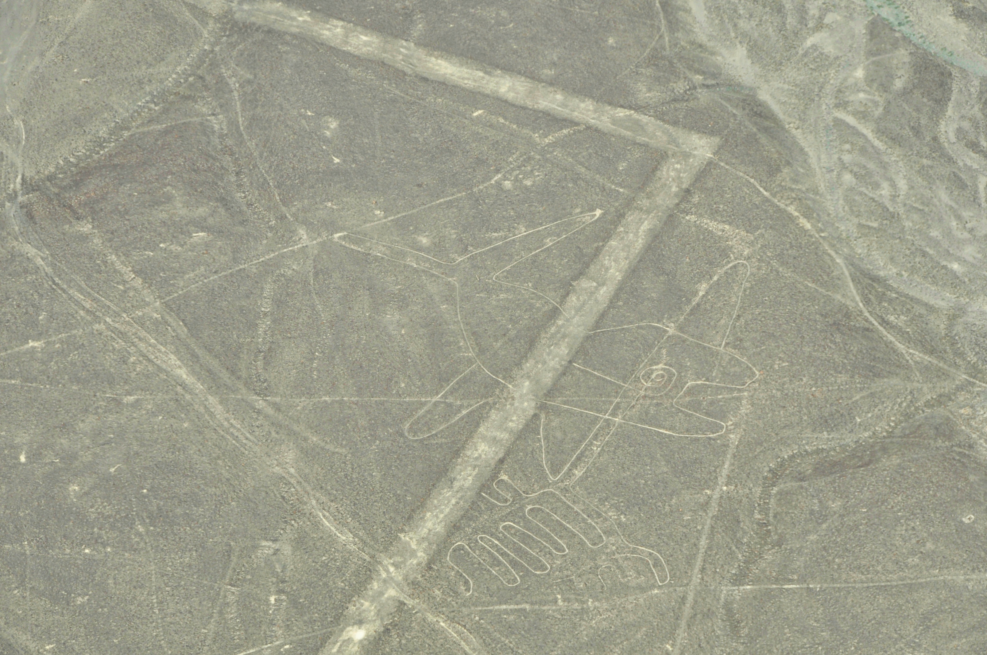 Two Travel The World - Flying over the Nazca lines- Peru’s mysterious geoglyphs