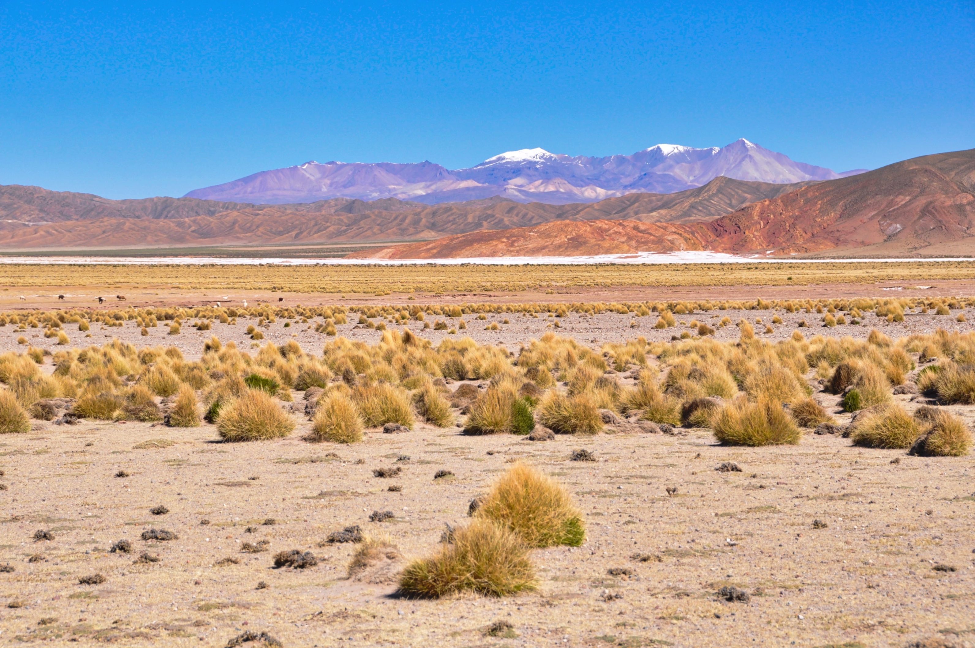 Two Travel The World - Uyuni Salt Flats tour from Tupiza, Bolivia