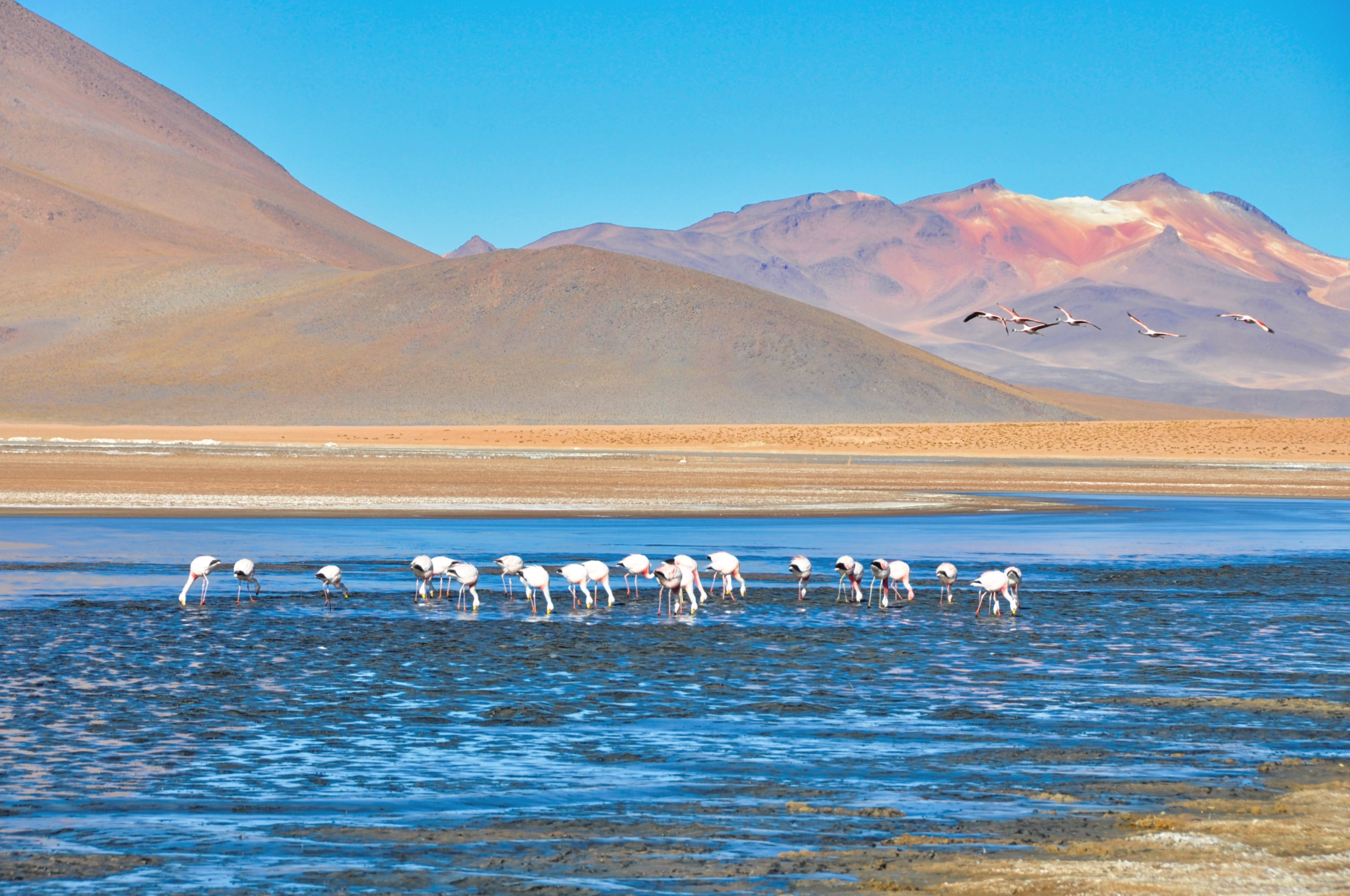 Two Travel The World - Uyuni Salt Flats tour from Tupiza, Bolivia