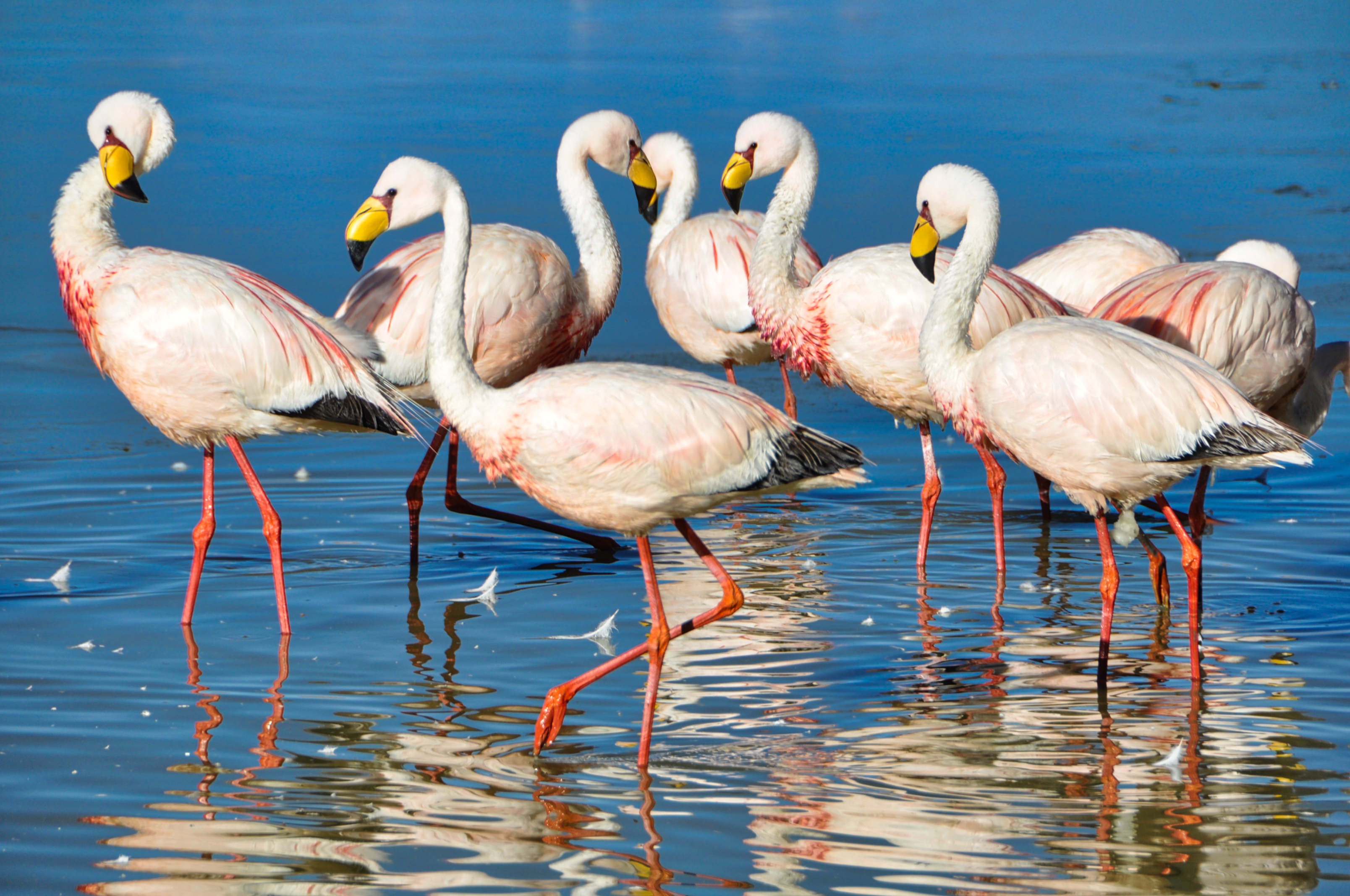 Two Travel The World - Uyuni Salt Flats tour from Tupiza, Bolivia