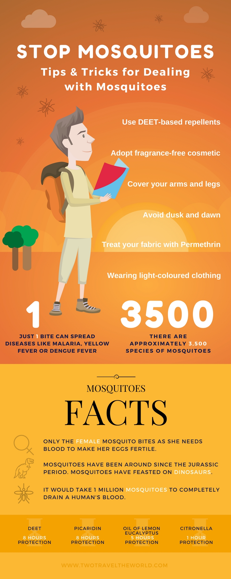 Best Killer Tricks To Keep Mosquitoes Away