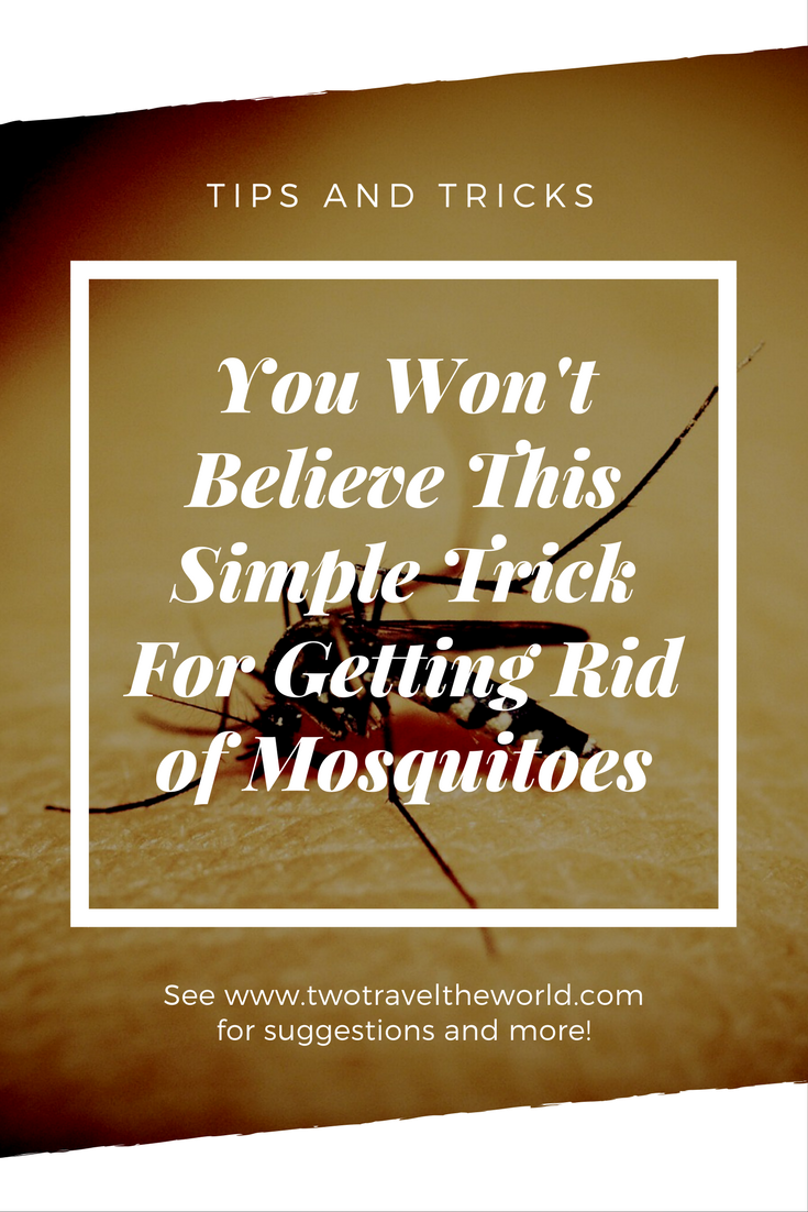 Best Killer Tricks To Keep Mosquitoes Away