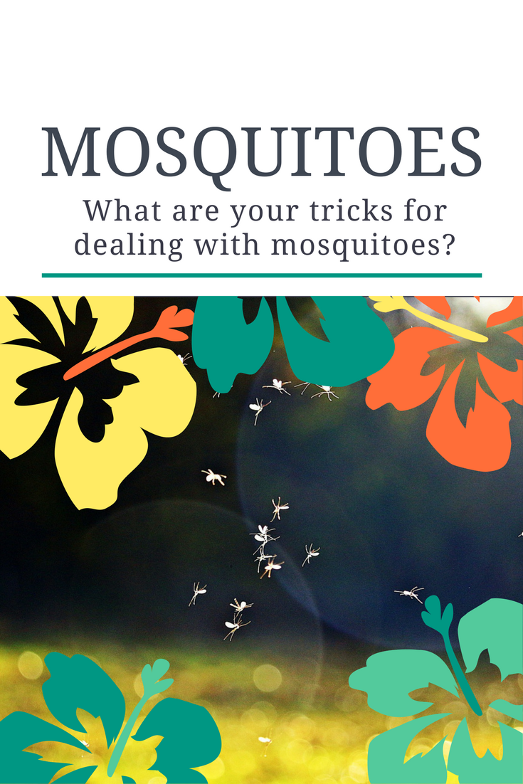 Best Killer Tricks To Keep Mosquitoes Away
