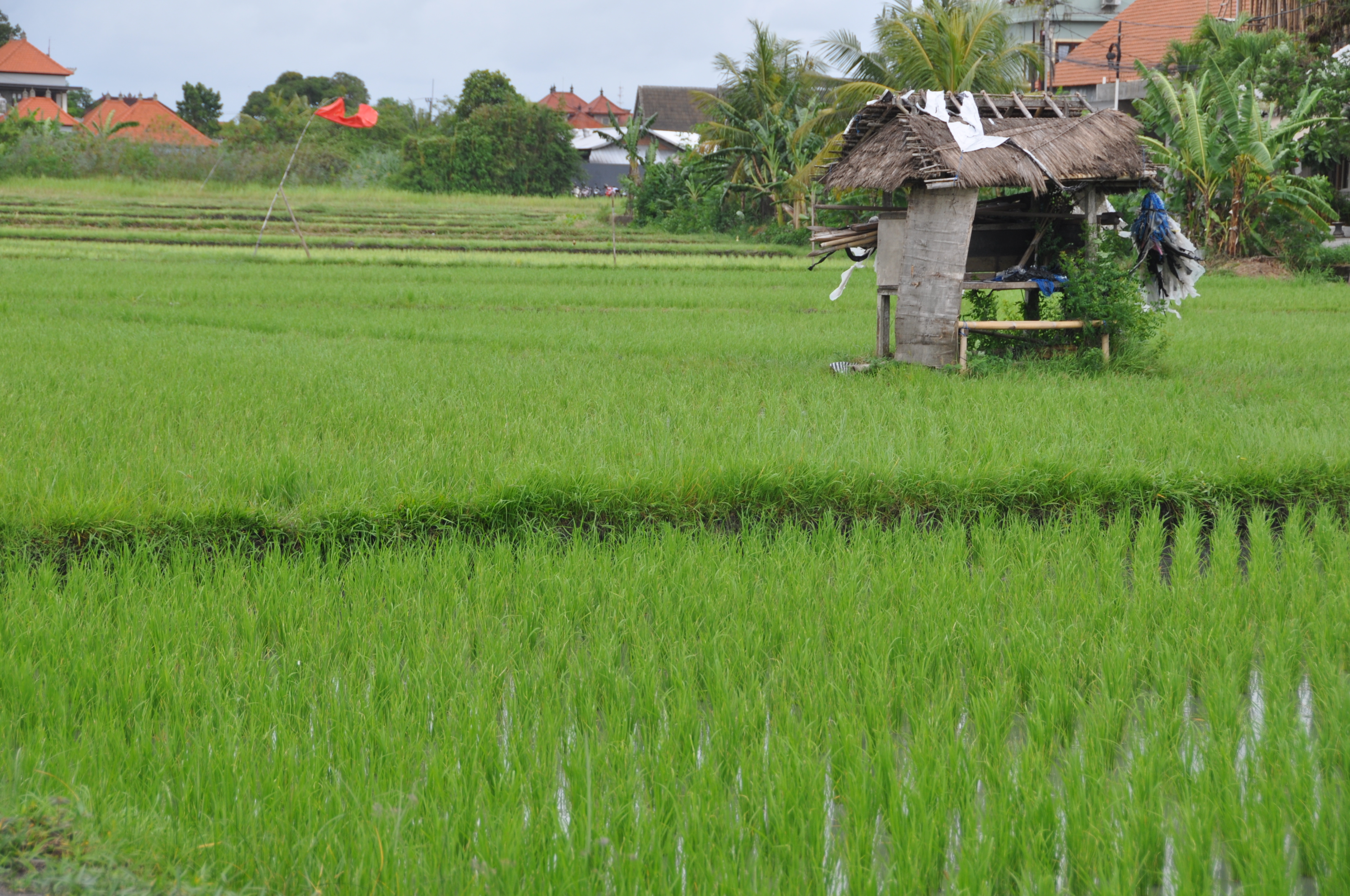 twotraveltheworld-canggu