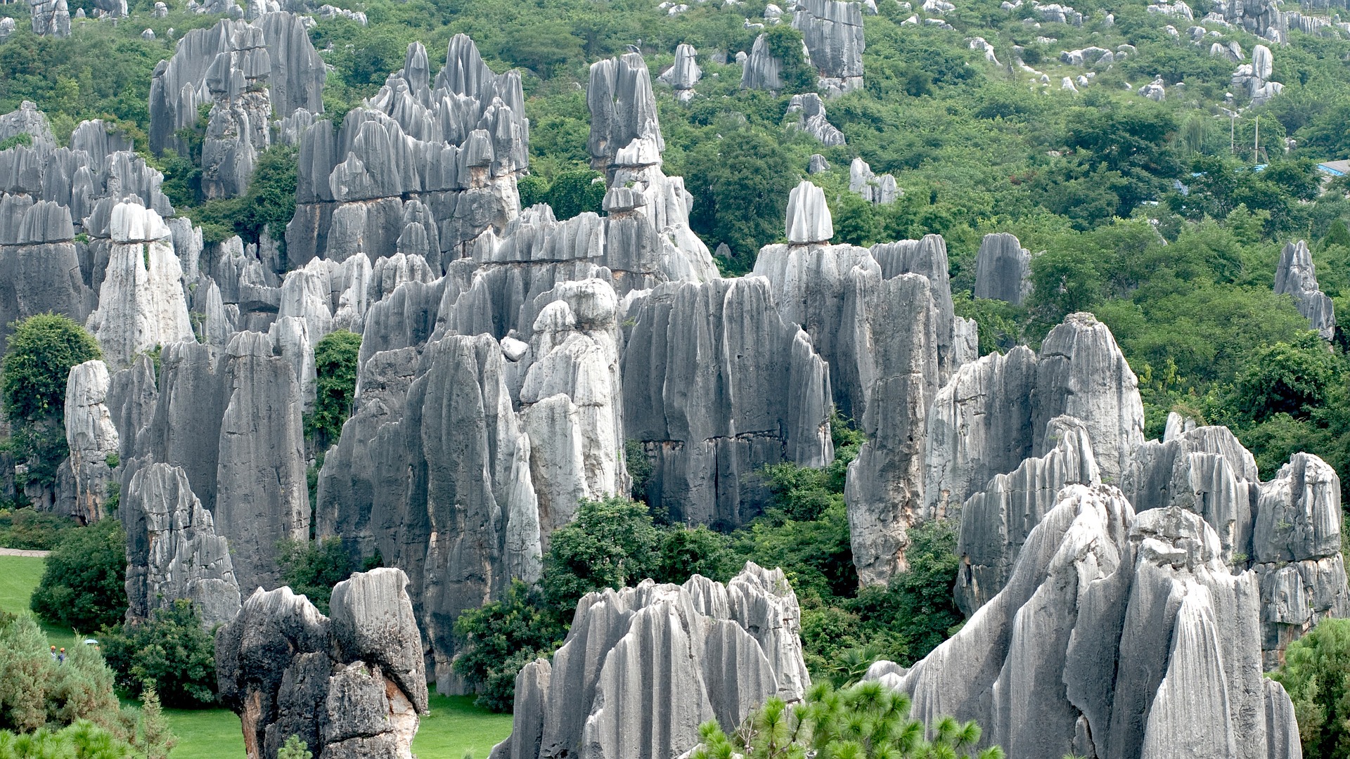 Two Travel The World Kunming Stone Forest