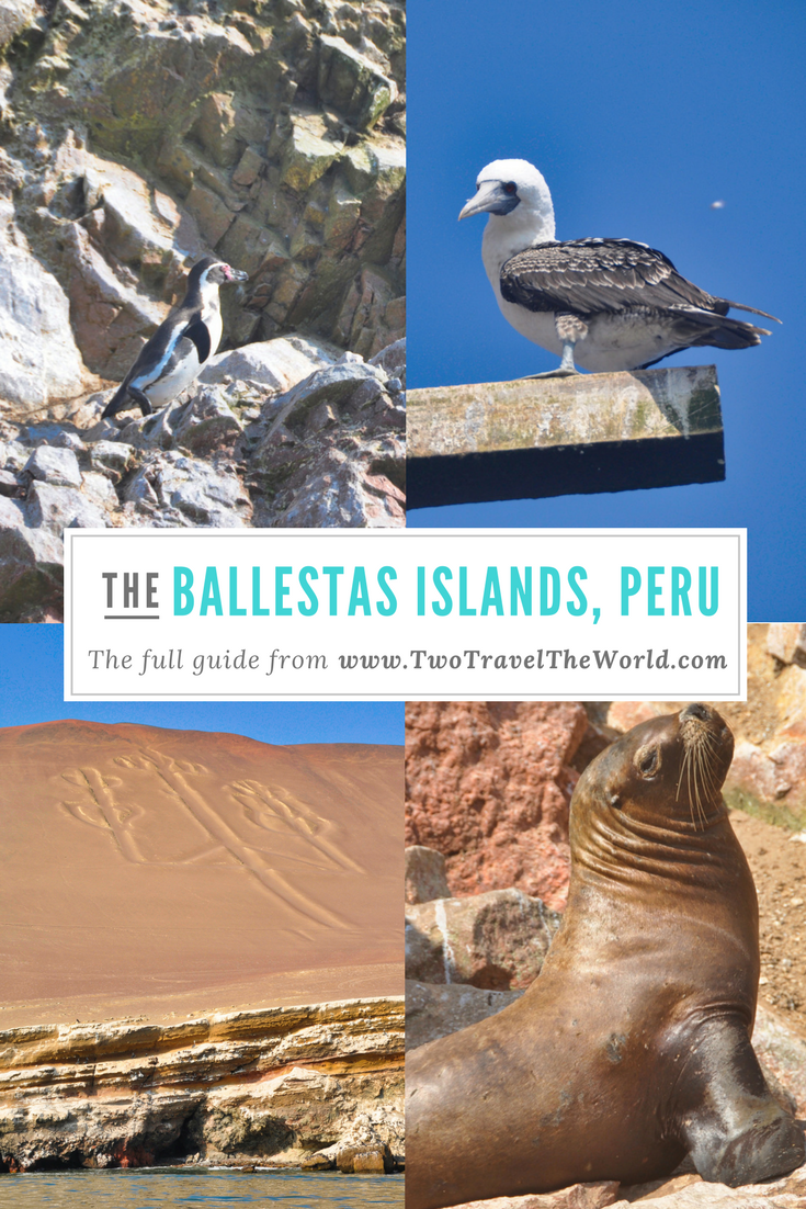 Two Travel The World - The Inside Guide to the Ballestas Islands of Peru